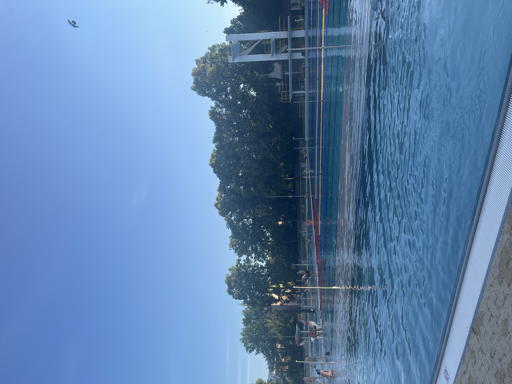 The image shows an outdoor swimming pool complex on a clear day. The pool is divided into lanes with yellow, red, and blue markers. A diving board structure with multiple platforms is visible on the right side of the pool. In the foreground, the water is calm with ripples reflecting the sunlight. Several people are in and around the pool, some swimming or wading, others sitting on chairs. Trees line the background, with buildings partially visible behind them. A bird is flying in the sky. The area around the pool appears to be paved with bricks.