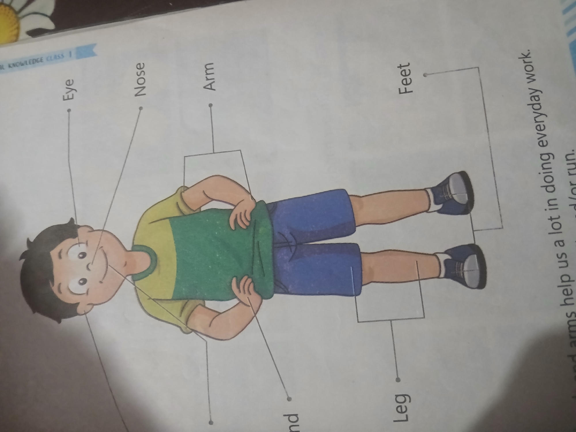 The image is an illustration of a young boy with his body parts labeled. The labels are "Eye," "Nose," "Arm," "nd," "Leg," and "Feet." The boy is wearing a green and yellow t-shirt and blue shorts. The illustration appears to be from an educational book. There is no visible information about the location in Peshawar City Tehsil, Pakistan.