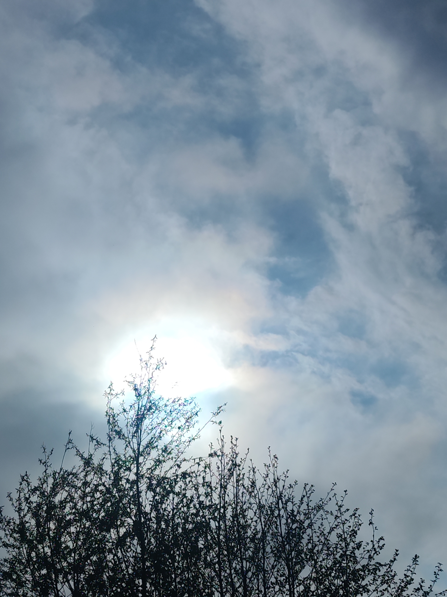 The image shows a view towards the sky, with the bright sun obscured by clouds. In the foreground, silhouetted branches of a tree are visible. The sky contains a mix of light blue and gray clouds, with the sun appearing as a bright white area. The location cannot be determined. There are no people present in the image.
