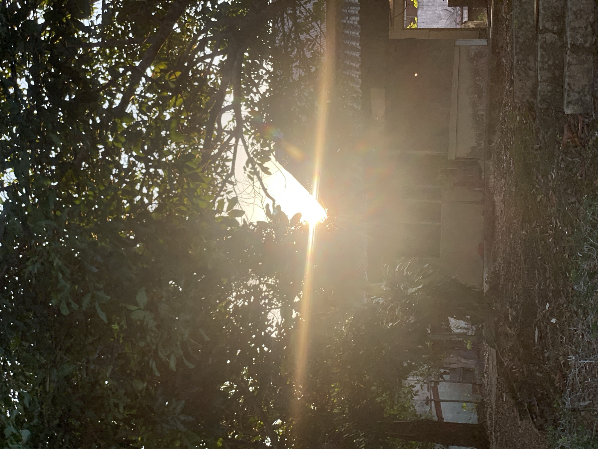 The image depicts a house in Banjarbaru, Indonesia, bathed in the warm glow of the setting sun. Sunlight streams through the dense foliage of trees, creating lens flares and a hazy, ethereal atmosphere. The house itself appears modest, with a dark-tiled roof and a light-colored facade. The area around the house is covered in dry leaves and a few patches of grass. A set of concrete steps leads up to the house, suggesting it's a residential dwelling. The scene evokes a sense of tranquility and the peaceful end of a day.