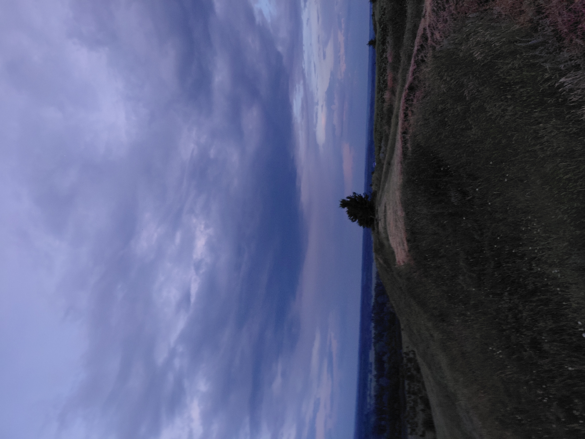 The image depicts an outdoor landscape scene, likely at dusk, under a cloudy sky. In the foreground, a grassy hillside dominates the lower portion of the frame, with dense, tall grass and scattered small white flowers. The hillside slopes downwards from right to left. Towards the middle ground, a narrow dirt path or track curves along the crest of the hill. A solitary evergreen tree stands prominently on the crest of the hill in the mid-ground, slightly to the right of the center. In the far background, a dark, hazy landscape of fields and trees stretches towards the horizon, beneath a wide expanse of dark, textured clouds that fill the upper half of the image. The colors are muted, with predominant shades of dark green, grey, and dark blue, indicative of low light conditions. There are no people or animals visible in the scene. The overall impression is one of a natural, rural setting, possibly on the outskirts of Ustyvytsia, Ukraine, given the context.