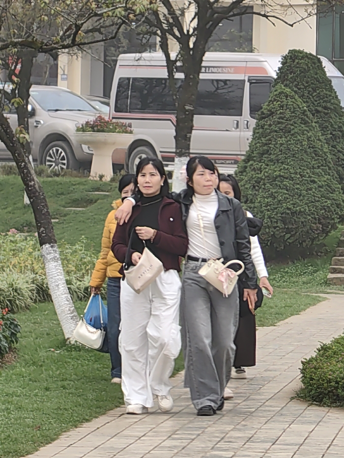 Four adult females are observed walking on a gray paved pathway in Sa Pa, Vietnam, under overcast conditions. The two lead women walk arm-in-arm from the right foreground towards the left. The woman on the left wears a maroon jacket over a black turtleneck, white cargo pants, and white sneakers; she carries a light beige shoulder bag with "BESTALL" visible on its front. Her right arm is linked with the woman to her right. This second woman wears a black leather jacket over a white turtleneck, gray wide-leg jeans, and dark flat shoes; she carries a small, light beige structured handbag adorned with a pink ribbon and bow. Behind the first woman, a third individual, partially obscured, wears a yellow jacket and carries a blue plastic bag and a white shoulder bag. A fourth woman is partially visible behind the second, wearing a white top and dark bottom, holding a phone. To the immediate left of the pathway is a manicured grassy area featuring deciduous trees, one with its lower trunk painted white. A light-colored concrete planter containing red flowering plants is positioned within the grass. In the background, a beige Ford Ranger pickup truck is partially visible, parked near a white passenger van with "LIMOUSINE" text and horizontal red and gray stripes. Buildings and dense green conical shrubs are also present in the background.