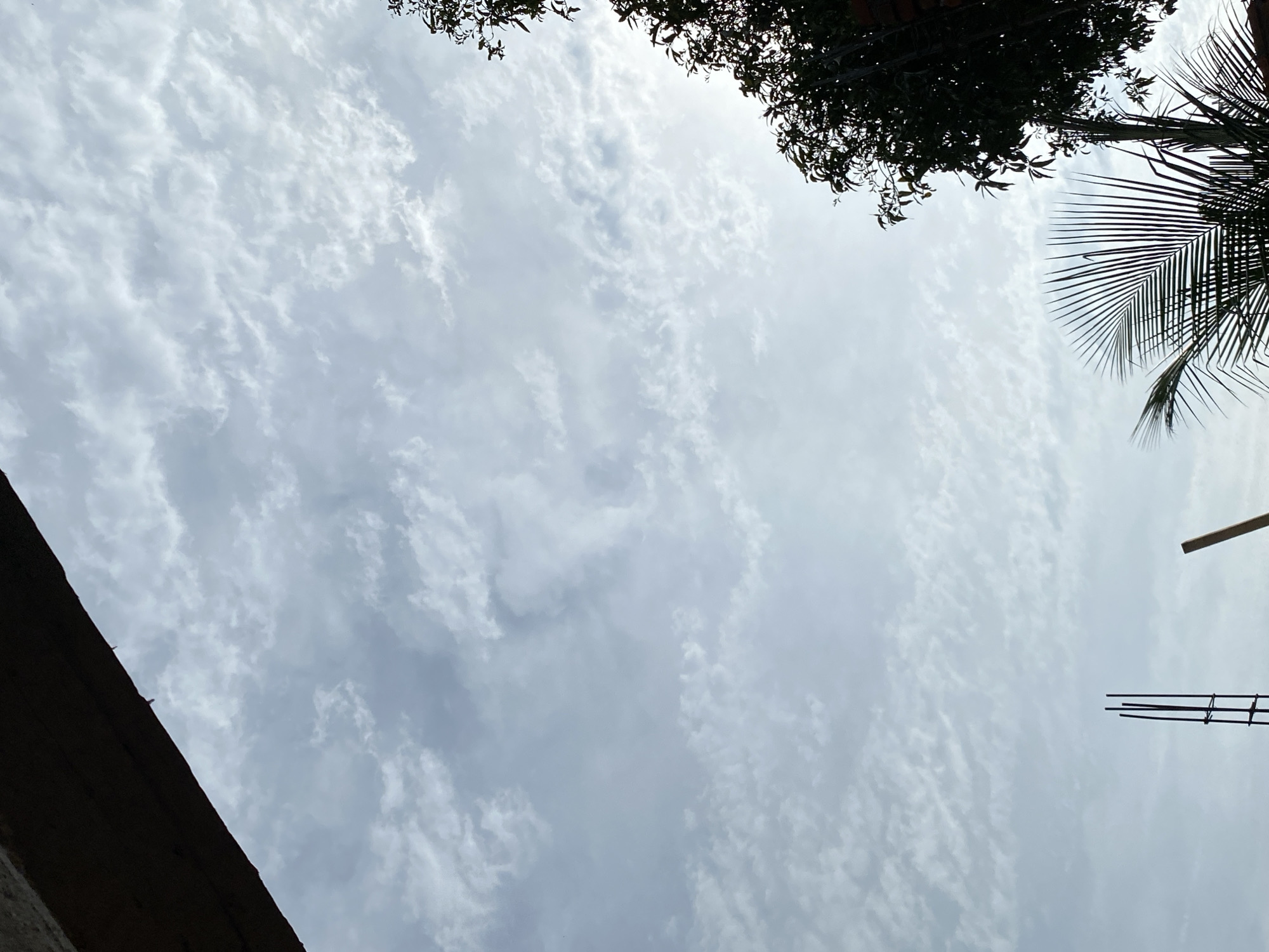The image is an outdoor, low-angle shot of a cloudy sky with some silhouetted foliage and construction elements in the foreground. A dark, wooden beam runs along the top left edge of the frame. The sky is filled with light, wispy clouds in varying shades of gray and white. On the right side of the image, the dark silhouette of leafy trees, possibly a mango tree, is visible against the bright sky, with hints of sunlight filtering through the leaves. In the lower portion of the image, the sharp, radiating fronds of a palm tree are silhouetted. Also visible in the lower part of the frame are two vertical elements that appear to be part of a construction site: a dark metal rebar cage structure and a light-colored wooden pole. The scene is devoid of people or any discernible activity. The environment suggests a possibly tropical or subtropical location based on the foliage.