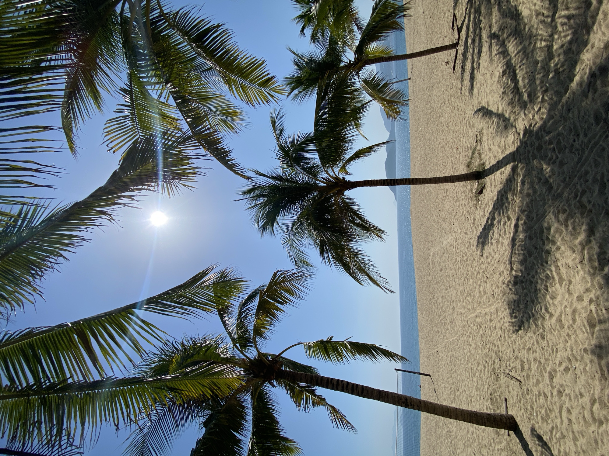 The image depicts a tranquil beach scene in Nha Trang, Vietnam, under a clear blue sky. Several palm trees are scattered across the sandy shore, their fronds casting shadows on the ground. The ocean stretches out in the background, meeting the horizon with distant islands. A volleyball net is visible on the left side of the frame, suggesting recreational activity. The sun shines brightly overhead, with its rays creating a lens flare effect. The overall atmosphere is serene and idyllic, typical of a tropical paradise.