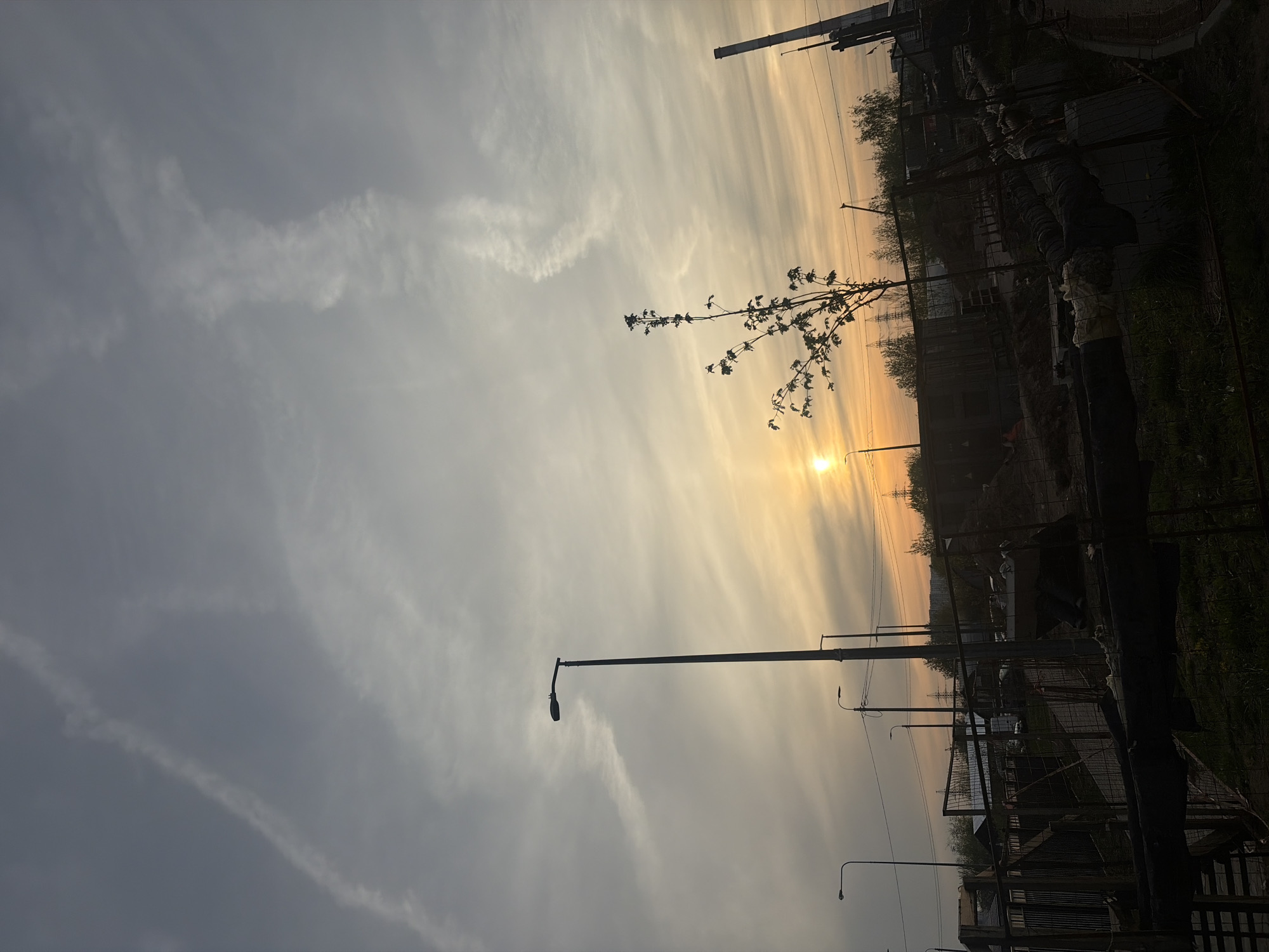 The image captures a dusky, possibly early morning, cityscape. The sky is filled with striated clouds tinted with the colors of sunrise. A silhouette of a small, leafy tree branch reaches towards the rising sun. In the background, there is a cluster of buildings and electrical towers. Utility poles line the street. A chain link fence and what appears to be construction materials are visible. The setting is typical of an urban industrial or suburban area. There is no specific information to determine the location of this image within Saint Petersburg, Russia, as Saint Petersburg is a very large city.