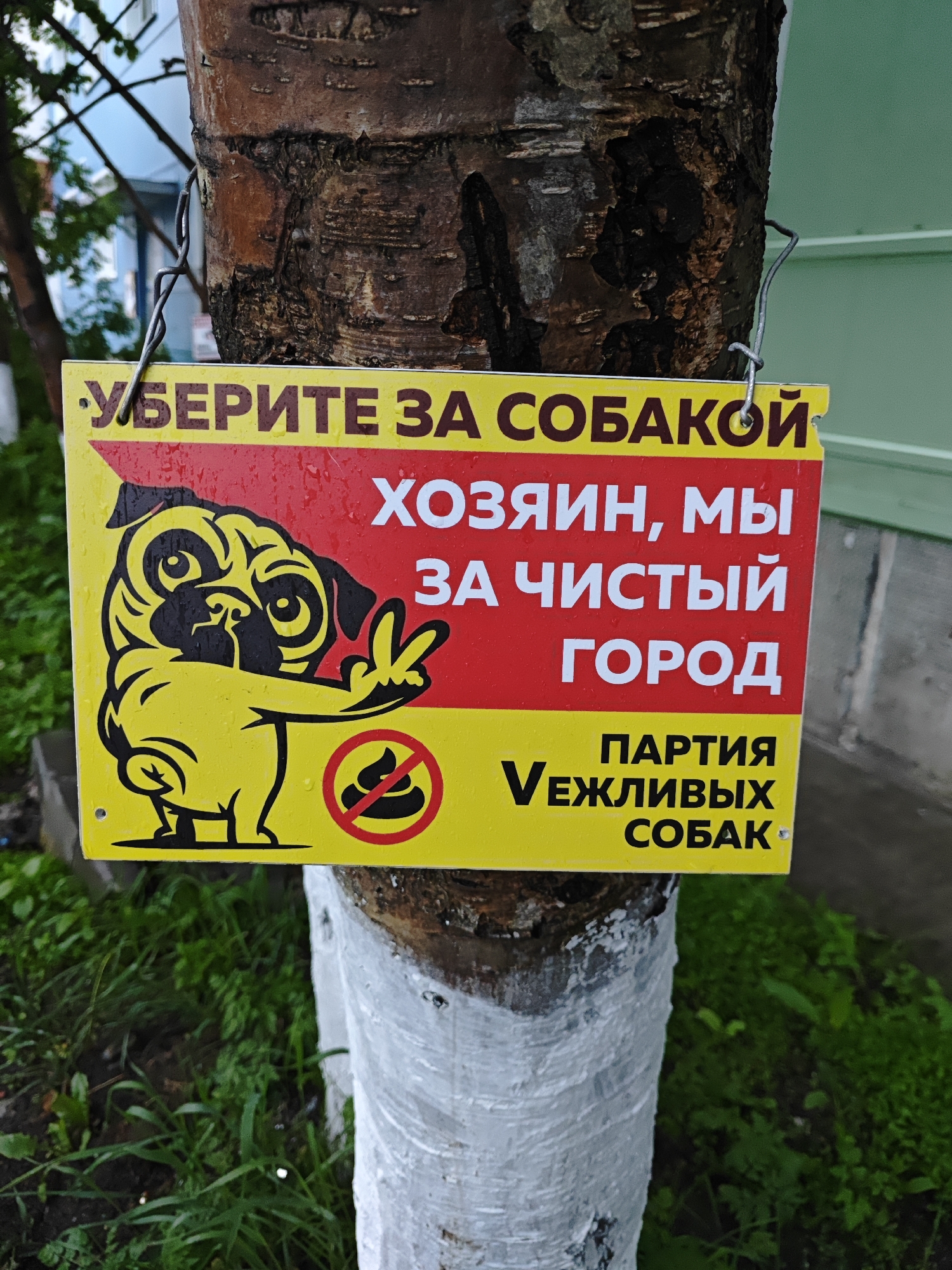 A yellow and red sign is attached to a tree in an outdoor environment, likely a city park or street, as indicated by the surrounding greenery and a building in the background. The sign features a cartoon pug dog in yellow, gesturing with its paw, and text in Russian. The text translates to "CLEAN UP AFTER YOUR DOGS. OWNERS, FOR A CLEAN CITY. PARTY OF COURTEOUS DOGS." A "no poop" symbol is also visible on the sign. The tree trunk is partially painted white at its base. The overall scene suggests a public space where dog owners are being reminded to maintain cleanliness. The sign's placement suggests it's an official or community-sponsored initiative. The image location is identified as Polyarny, Russia.