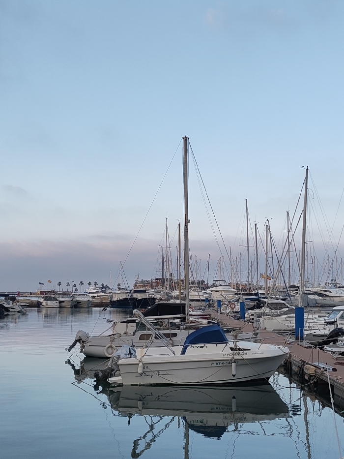 The image displays a marina located in the city of Rotes, Spain, under a light blue sky with faint, diffused clouds, indicative of either early morning or late afternoon. The water surface is calm and exhibits clear reflections of the docked vessels.
In the foreground, a white motor cruiser, identified with "T-EYCHAN 630," "Wallapop," and "7ª AT-6-40" on its hull, is moored to a dark floating dock on the right. This boat features a blue canvas cover on its bow and an outboard motor mounted at its stern. Directly behind it, the stern and outboard motor of another light-colored vessel are partially visible.
The midground is densely populated with numerous sailboats and motor yachts docked parallel to several piers. The vertical masts of the sailboats dominate the upper midground, forming a complex network of lines and spars against the sky. Most vessels are white, with some featuring darker hulls.
In the background, a strip of land runs horizontally across the frame, featuring at least seven palm trees. Behind these trees, multiple buildings are visible, including one with dark lettering that appears to read "SENSA" or "ZENSA." Two flags are flying from a pole on the left side of the background; one is clearly the flag of Spain, and the other is the *Senyera* (Catalan flag) with vertical yellow and red stripes. No people are discernible within the frame.