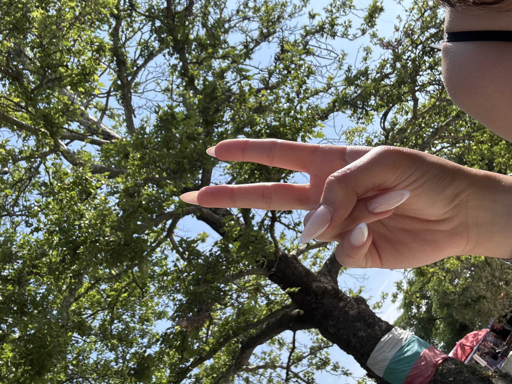 A fair-skinned hand, featuring manicured fingernails with light polish and white tips, forms a "V" gesture, centered in the lower portion of the image. A segment of a shoulder with a black strap is visible in the lower right. The background consists of a large tree with a dark, textured trunk and a dense canopy of green leaves, framed against a clear blue sky. A tricolor ribbon, displaying horizontal stripes of red, white, and green, is tied around the lower left section of the tree trunk. Partially obscured red structures are visible in the lower-left corner beneath the tree. The scene is an outdoor setting in Kostievo, Bulgaria.