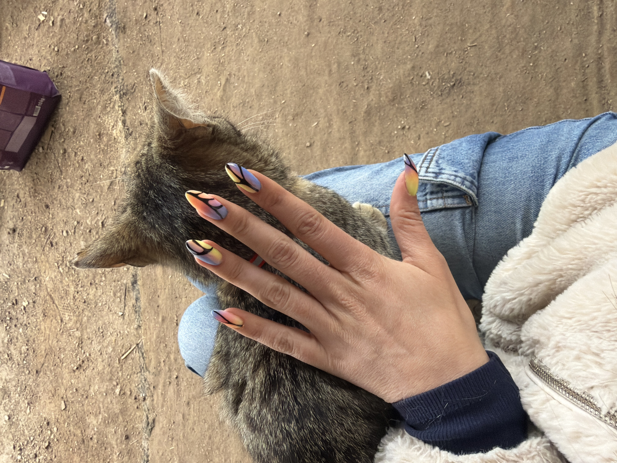 The image captures an overhead view of a person's hand petting a tabby cat, set outdoors on a dirt ground. The scene appears to be taking place during the daytime, with natural light illuminating the subjects. The location context provided is Debrashtitsa, Bulgaria.
The central subject is a person's hand, adorned with striking, long, pointed fingernails. These nails feature a vibrant, multicolored ombre design, transitioning from yellow and orange to pink, purple, and blue. Overlaying these colors are intricate black abstract lines, creating a pattern reminiscent of stained glass or butterfly wings. The hand is resting gently on the back of a short-haired tabby cat, whose fur shows a mix of brown, black, and grey stripes. Only the cat's back, one ear, and a few whiskers are visible, suggesting it is facing away from the camera.
The person is wearing blue denim jeans, a dark blue long-sleeved cuff on their arm, and a cream or white fluffy jacket, a portion of which is visible on the right side of the frame. The background consists of a textured, light brown dirt or gravel ground, implying an unpaved outdoor area. In the upper left corner, a purple package or container is partially visible on the ground; its text is indistinct but suggests product labeling, possibly including "PURINA." The image conveys a moment of calm interaction, likely showing affection or comfort, between the person and the cat.