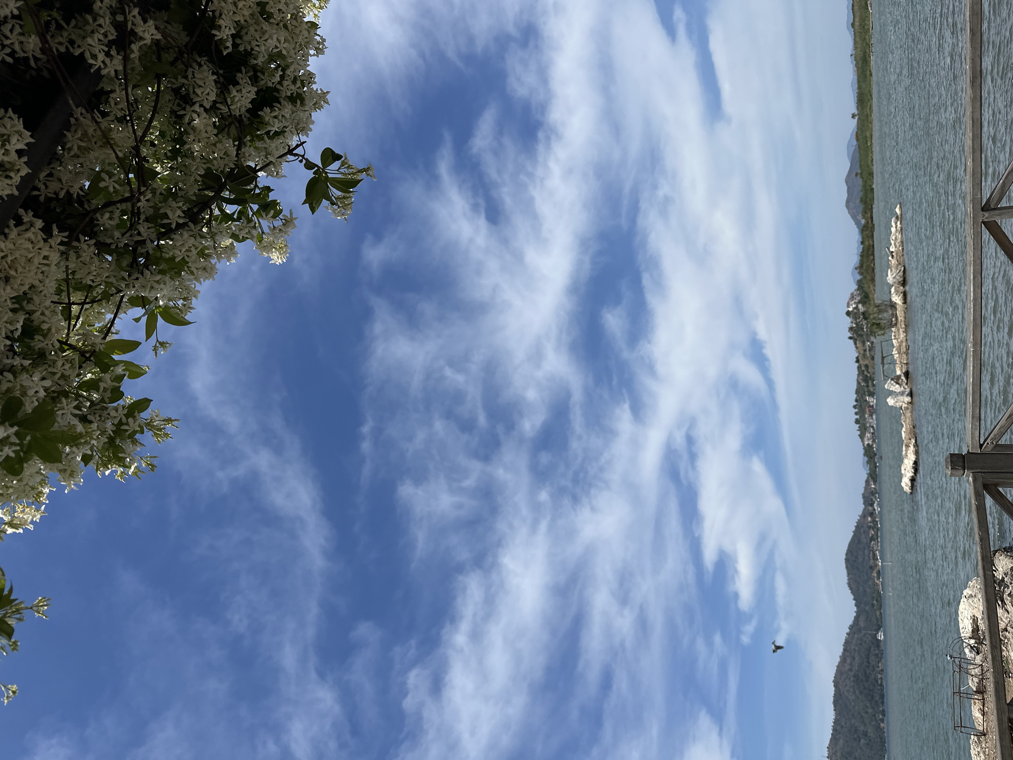The image captures a view in Fethiye, Turkey, displaying a partially obstructed seascape under a blue sky patterned with cirrus clouds. In the foreground, white flowering plants frame the upper left corner. The scene extends across a body of water bordered by tree-covered hills and what appears to be rocky terrain. A bird is captured in flight in the lower-center sky. Wooden structures are partially visible on the right side, likely part of a pier or dock.