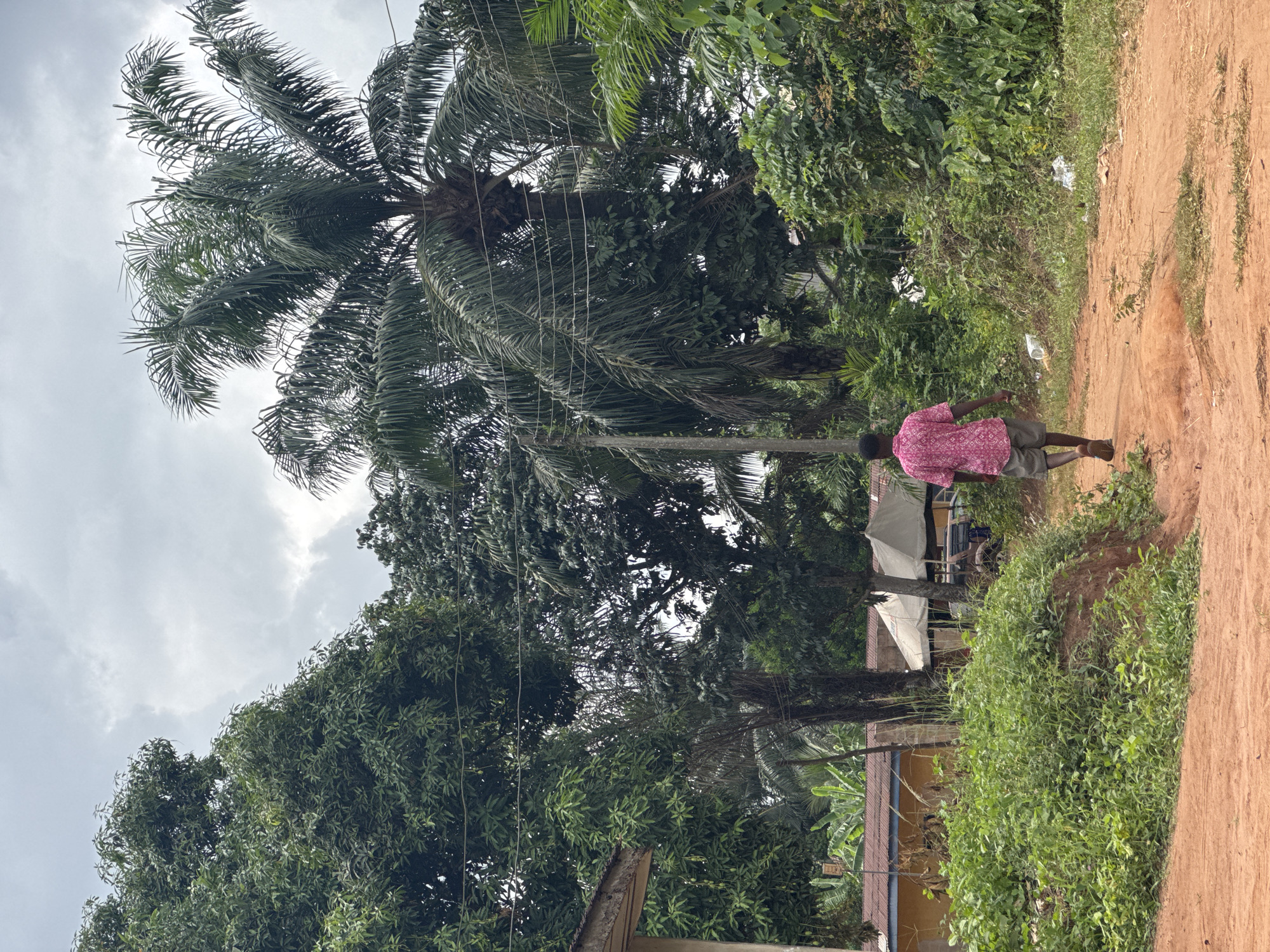 The scene is a dirt road in Eziudo, Nigeria. A man in a pink patterned shirt and dark shorts walks away from the viewer, down the road. To the left, a tall palm tree stands next to lush green trees and some utility poles with lines. In the background, there are buildings visible, some with white tarps. The sky is overcast with grey clouds. The dirt road has some sparse vegetation along its edge.