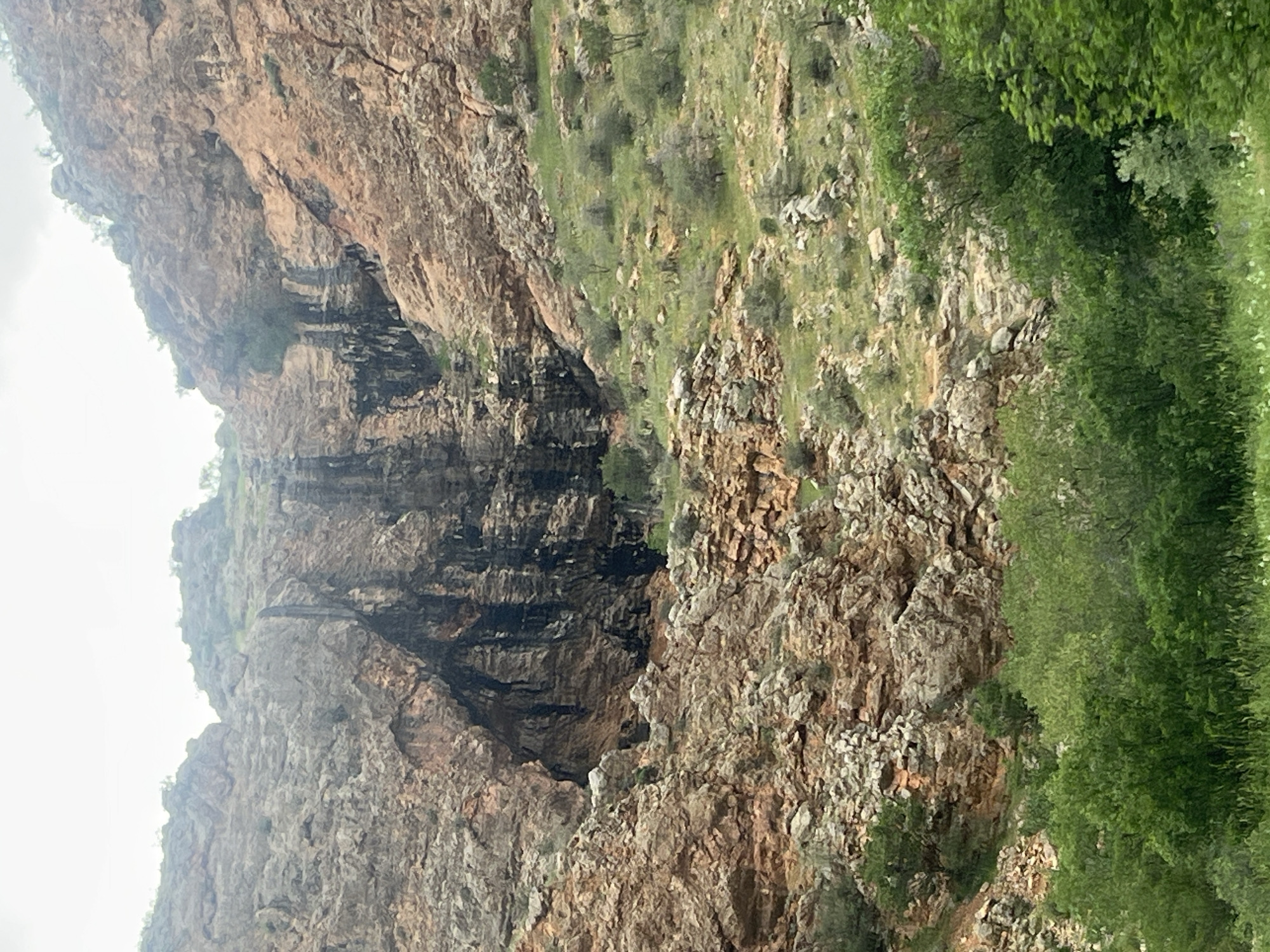 The image displays a rugged mountainous landscape, located in the city of Areni, Armenia. A prominent, steep rock face dominates the central and upper portions of the frame, exhibiting varying shades of brown, reddish-brown, and grey rock. Numerous crevices, ledges, and jagged formations are visible across the rock surface.
In the upper-middle section, particularly towards the right, dark vertical streaks, consistent with water flow or mineral staining, descend down the rock face. A noticeable dark, cavernous opening or deep overhang is present in the mid-left area of the cliff, suggesting a cave entrance. The rock around this and other depressions appears darker, almost black, in various textured patterns.
Sparse green vegetation, including small bushes and trees, clings to the upper ridges and less steep sections of the rock face. Below the sheer cliff, the terrain transitions into a gradual slope, densely covered with vibrant green grass, interspersed with numerous grey and brown rocks and boulders. Scattered across this grassy slope are various small to medium-sized bushes and deciduous trees with green foliage.
The immediate foreground is characterized by a lush, dense accumulation of green foliage, consisting of trees and undergrowth. The sky above is bright and appears overcast or hazy. No human activity, structures, or animal life are visible within the captured scene.