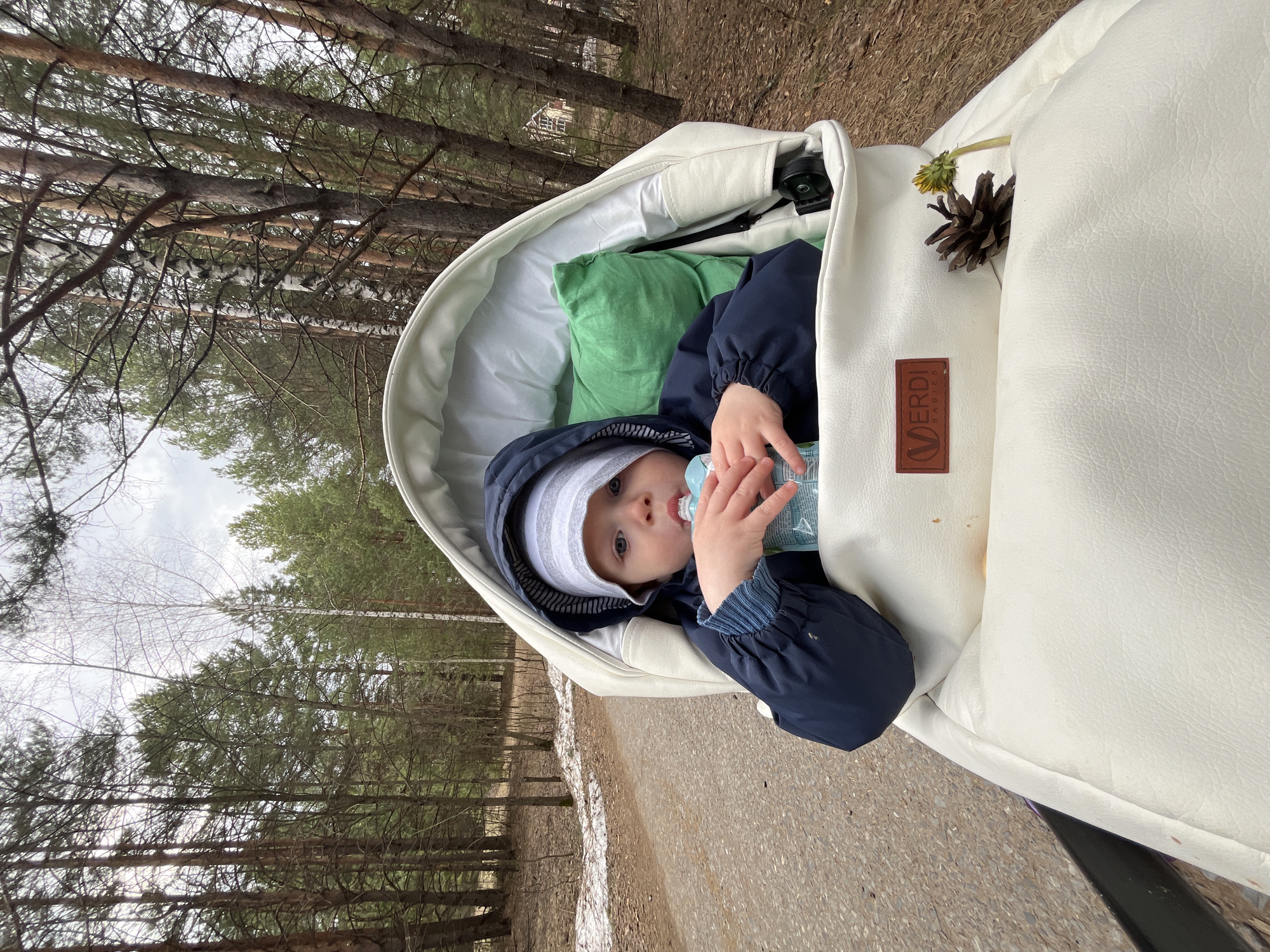 A baby is sitting in a white stroller outside, drinking from a pouch. The baby is wearing a white hat and a blue jacket. The stroller has a green pillow inside and a pinecone and a dandelion on the side. The "VERDI BABIES" logo is visible on the stroller. The background shows a forest and a path. The image was taken in the city of Chaikovsky, Russia.
