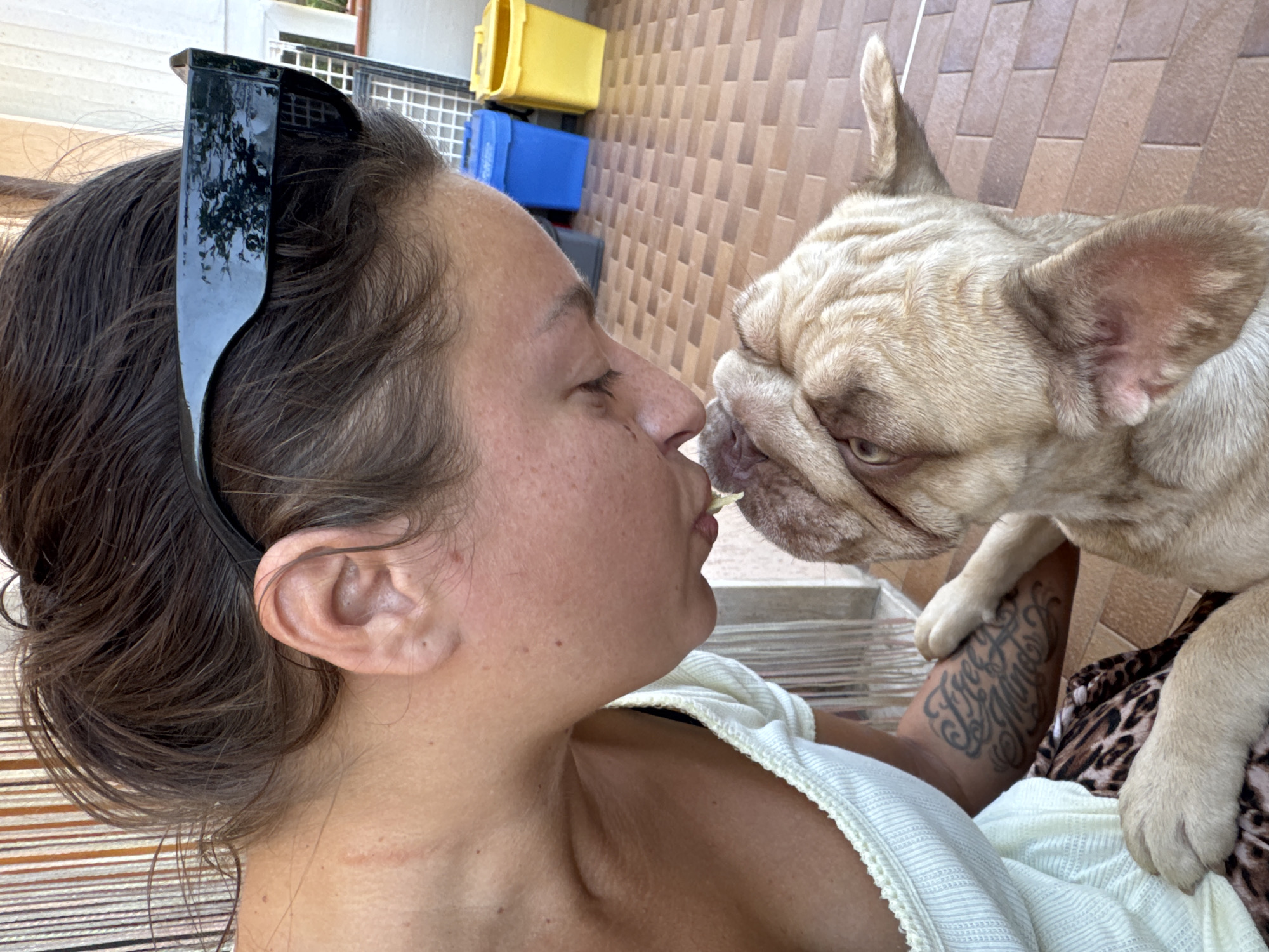 A woman with dark hair pulled back and wearing a white off-the-shoulder top is leaning down to kiss a light brown French Bulldog. She has a tattoo on her left arm that reads "Free Mind". The dog's head is angled upwards towards the woman. The setting appears to be an outdoor patio with a tiled floor. In the background, there are two trash bins, one blue and one yellow, and a striped vertical blind. The location is identified as San Benedetto del Tronto, Italy.