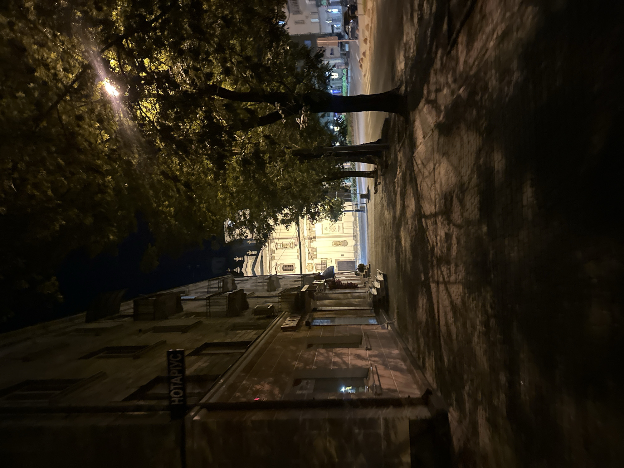 The image depicts a street scene at night in Ternopil, Ukraine, likely on vulitsya Ruska. On the left, a building with a sign reading "НОТАРІУС" (Notary) is visible. The building's facade is illuminated by streetlights, casting shadows on the paved sidewalk. Several trees line the right side of the street, their leaves catching the light from a streetlamp overhead. In the background, a large, ornate building, possibly a church or historical landmark, stands illuminated. The street itself appears to be relatively quiet, with only a few cars visible in the distance and no people clearly present in the foreground. The overall atmosphere is one of a serene, nocturnal urban setting.