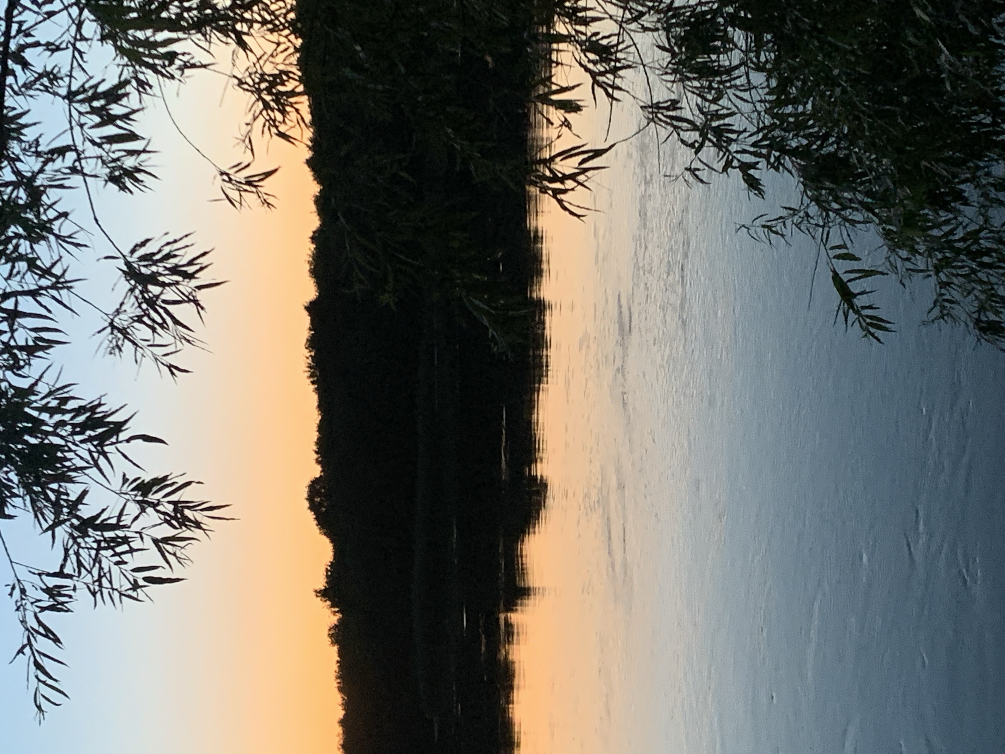 This is a photograph of a river at sunset, likely taken from the bank of the Vyatka River in Kirov, Russia. The sky is a gradient of soft orange and light blue, with silhouettes of trees lining the opposite bank. The water reflects the colors of the sky, creating a warm, luminous surface. In the foreground, the dark silhouettes of tree branches and leaves hang over the water, adding depth and framing the scene. The overall atmosphere is serene and peaceful, with the last light of the day illuminating the tranquil landscape. There are no people or man-made structures visible in the image, emphasizing the natural beauty of the location.
