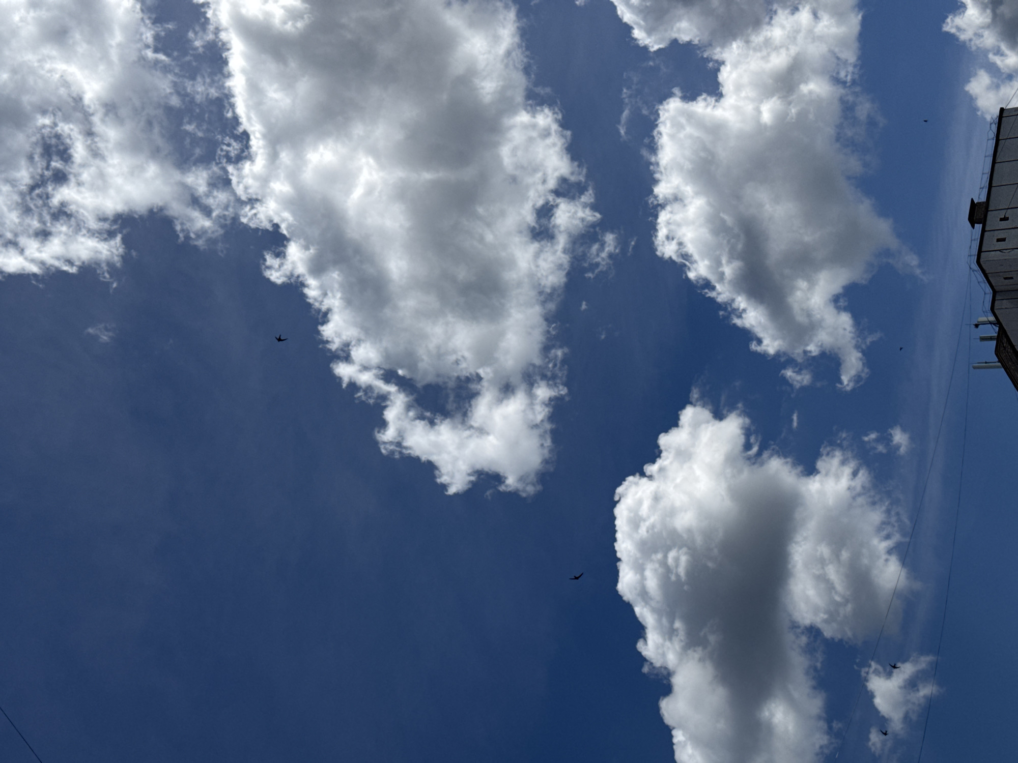 The image shows a bright blue sky with scattered white cumulus clouds. Three small, dark birds are visible flying in the sky. In the lower part of the image, the roofline of a white building is visible, with a chimney and some antenna-like structures. Two thin black wires are stretched across the sky, just above the building. The scene appears to be outdoors, likely in an urban or suburban setting given the presence of the building and wires. Without further information or context, the specific location within Chaikovsky, Russia cannot be determined.