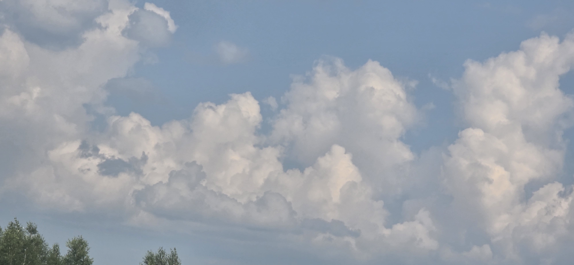 The image shows a panoramic view of a cloudy sky with some trees at the bottom. The clouds are varied in shape and density, with some appearing bright white and others with grey undertones, suggesting varying levels of moisture and light. The sky is a pale blue, indicating daytime. The trees are green and leafy, suggesting a warm season. The scene appears to be an outdoor environment, possibly a park or a rural area on the outskirts of a city. No people or specific landmarks are visible to identify a precise location. The lack of distinctive features makes it impossible to determine if this image was taken in the city of Kurgan, Russia.