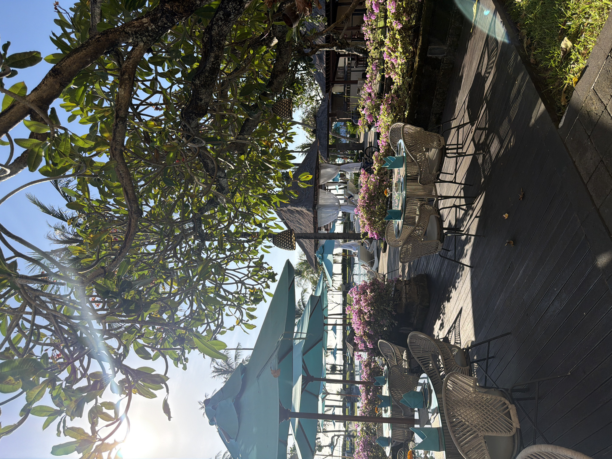 The image shows an outdoor dining area in Kuta, Indonesia. The tables are set with light blue napkins and surrounded by woven chairs. Turquoise umbrellas provide shade over the tables. Pink bougainvillea bushes separate the dining area. Above the tables is a thatched roof structure. A tree with green leaves provides additional shade, its branches partially obscuring the sky. Sunlight is visible, causing some glare. The dining area is on a wooden deck, and there is a narrow strip of grass next to the deck.