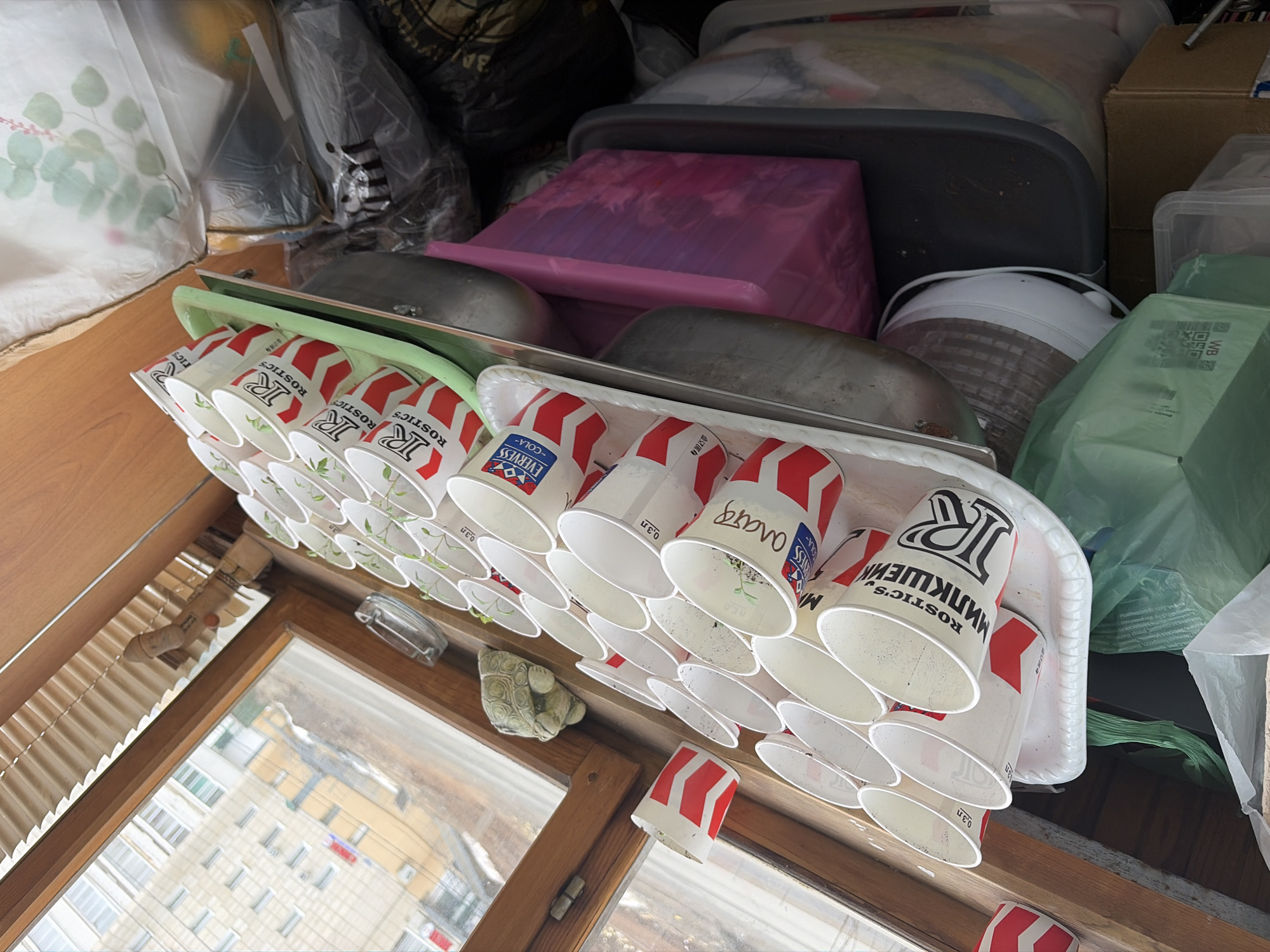 The image shows a window sill in what appears to be a cluttered storage space. The window offers a view of a residential area, potentially in the city of Chaikovsky, Russia. On the sill, there are two trays filled with used paper cups, some with "ROSTICS" and "EVERVESS-COLA-" printed on them. The cups are arranged in rows, suggesting an attempt to dry or store them. A small stone sculpture is near the window. In the background, various containers and bags of items are piled up, further indicating a storage area. The scene presents a disorganized and somewhat cluttered environment.