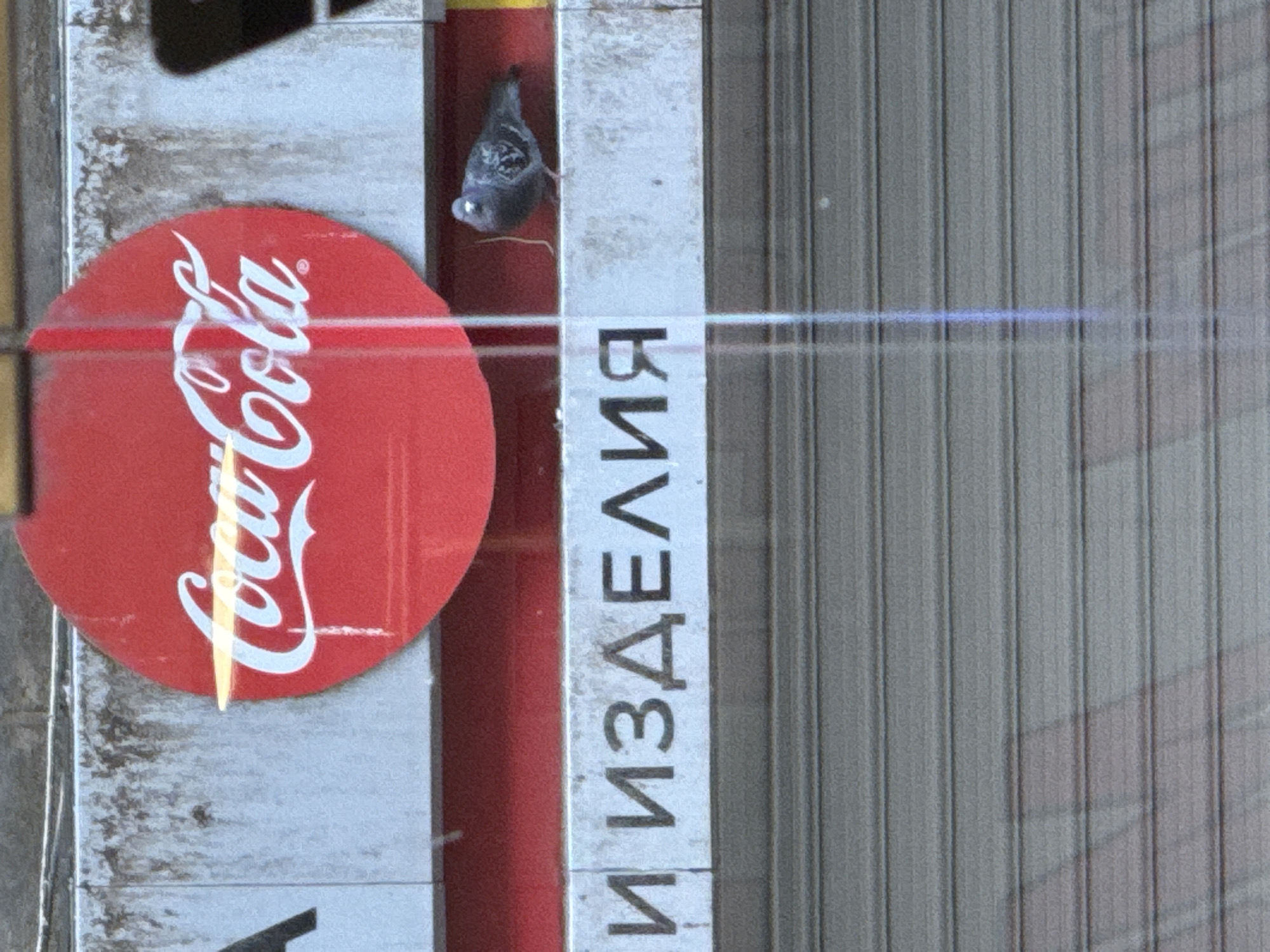 An eye-level shot captures a faded and slightly weathered storefront sign. Prominently featured is a round, red Coca-Cola logo. Adjacent to it is a sign with text in Cyrillic, reading "ИЗДЕЛИЯ" vertically. A pigeon is perched on the sign above the Coca-Cola logo. The background shows a closed roller shutter. The scene is in Burgas, Bulgaria.