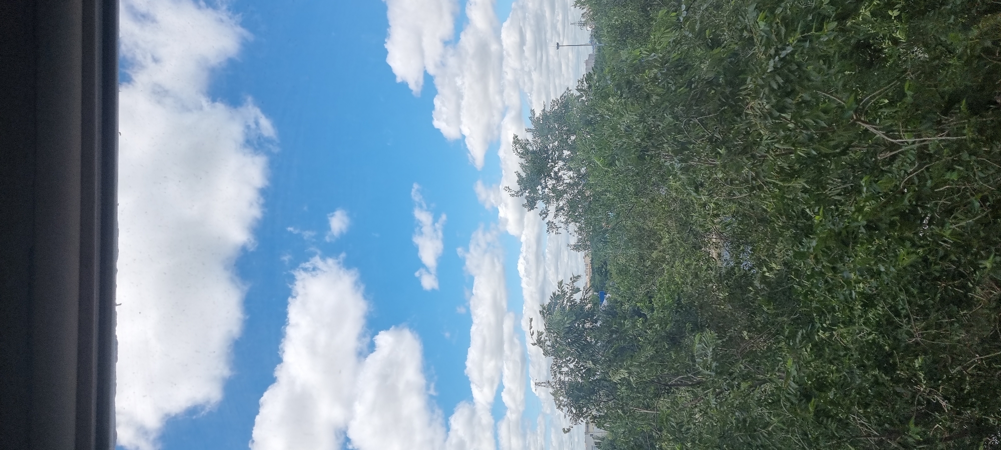 This is an eye-level, vertical, medium shot of a lush green canopy of trees viewed from above, with a bright blue sky dotted with white, fluffy clouds in the background. The top of the frame is dominated by a dark, horizontal overhang, possibly a window frame or balcony. The dense foliage of the trees obscures the ground and much of the mid-ground, but hints of distant buildings and industrial structures, including a power line tower, can be discerned through gaps in the leaves. The scene appears to be an urban or suburban setting in Aktobe, Kazakhstan, suggesting a view from an upper floor or elevated position. There are no people or animals visible in the image, and no specific actions are being taken. The overall impression is one of nature encroaching on a developed area under a clear, cloud-filled sky.