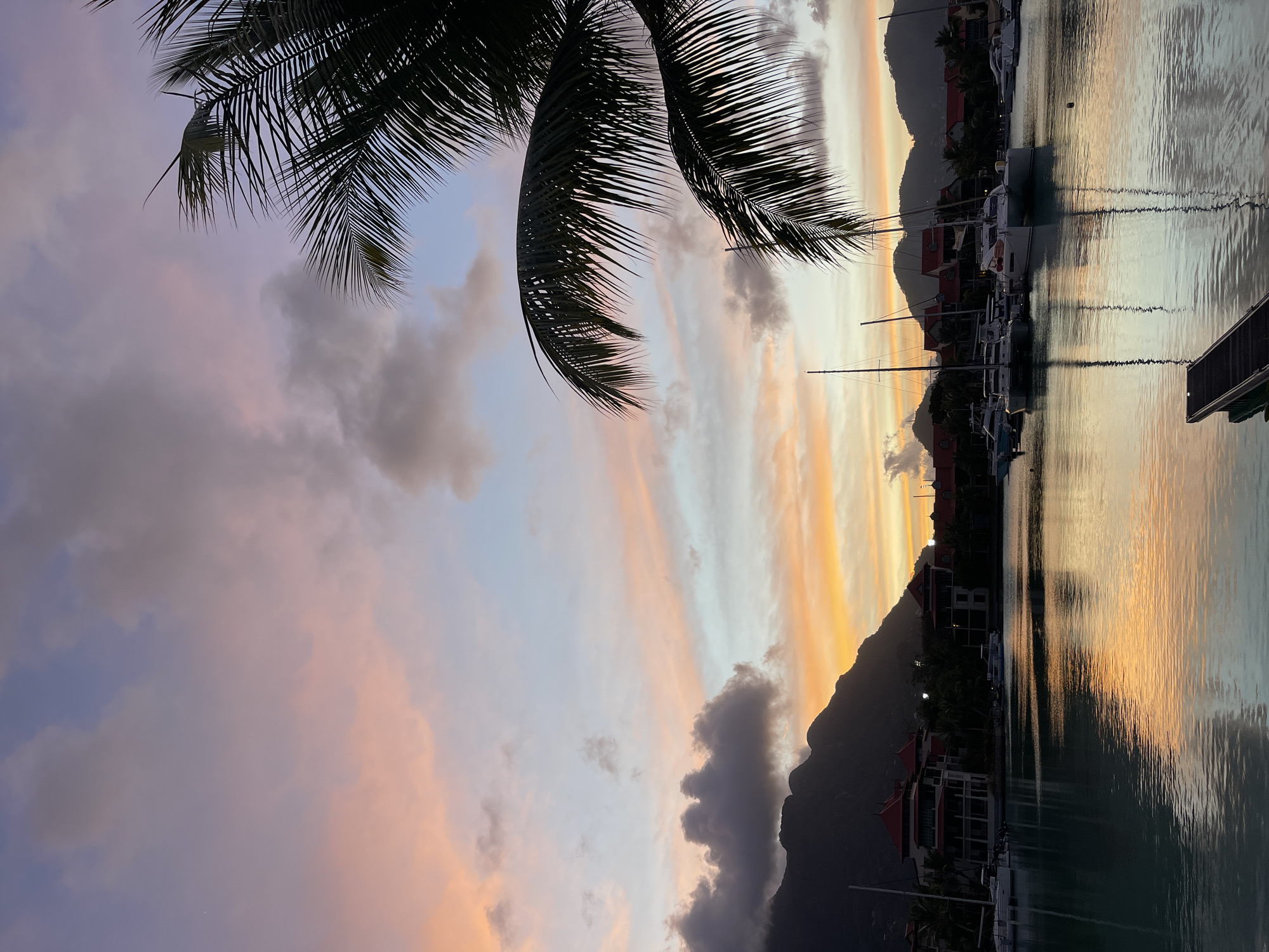 The image shows a serene harbor at dusk in Providence, Seychelles. The sky is a canvas of soft pastel colors, with hues of pink, orange, and purple blending seamlessly. Dark, silhouetted mountains form the backdrop, their peaks softened by the fading light. Several sailboats and yachts are docked in the calm water, their reflections shimmering on the surface. Buildings with red-tiled roofs line the shore, interspersed with lush palm trees, their fronds casting long shadows. The overall atmosphere is tranquil and picturesque, capturing the beauty of a tropical sunset.