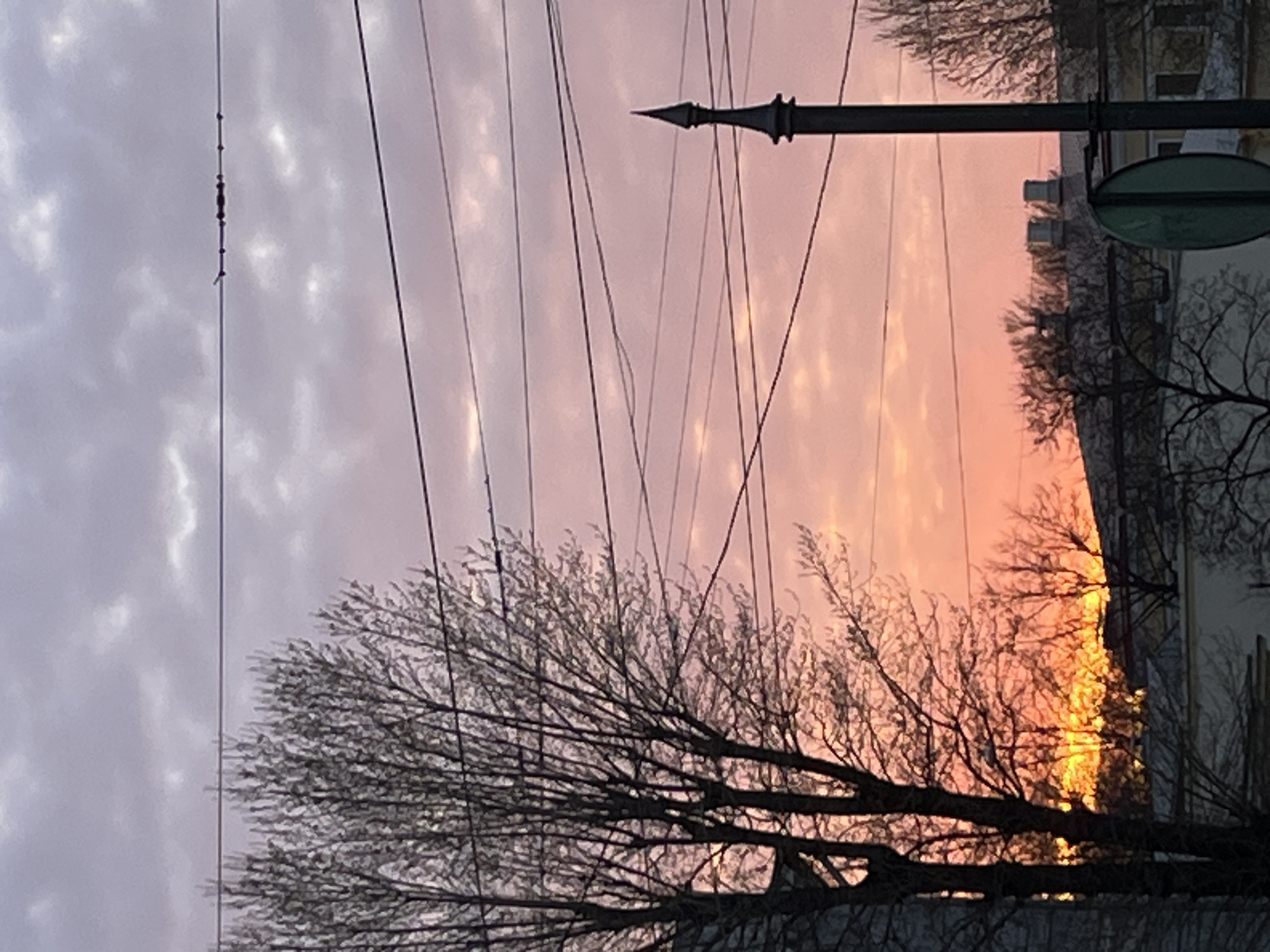 The image presents a cityscape at sunrise or sunset, featuring a sky gradient from pink-purple hues to a vibrant orange. Silhouetted trees with bare branches occupy the foreground, partially obscuring the view of buildings. Power lines crisscross the sky. A lamppost with a pointed finial extends horizontally across the upper-right quadrant. A round, green sign hangs attached to the lamppost. The location appears to be a residential area, evidenced by the buildings visible behind the trees.