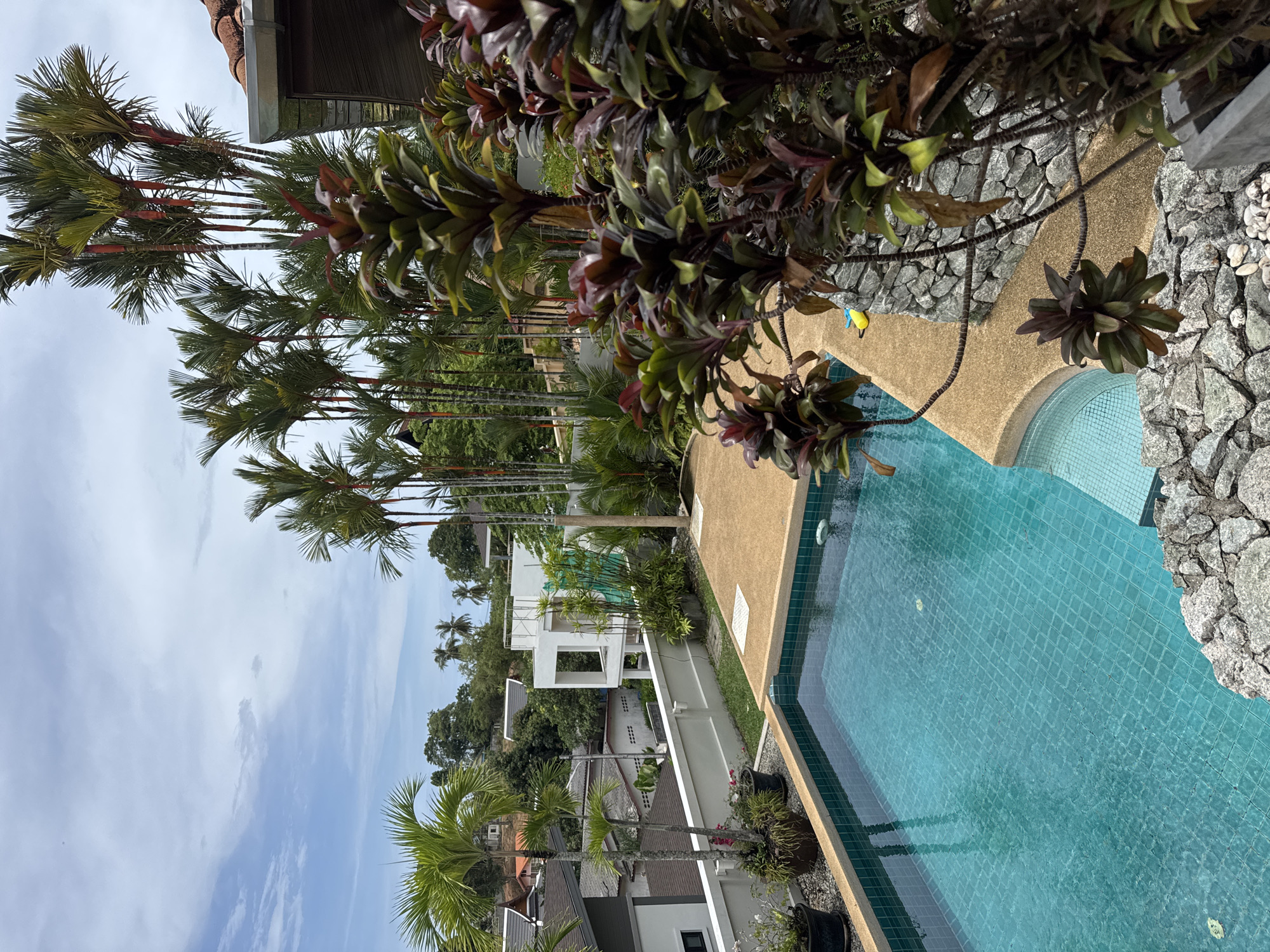 The image depicts a swimming pool area in Rawai, Thailand. The pool is rectangular with rounded corners and tiled in light blue. It is surrounded by a walkway, partly paved in a sandy color and partly decorated with stones. Lush tropical vegetation is present around the pool, including palm trees with slender red trunks, taller trees lining the boundary of the property, and decorative plants with red-tinged leaves. Beyond the pool area, there are residential buildings and rooftops, along with a hill covered in greenery. The sky is cloudy, suggesting fair weather. The scene is captured from an elevated perspective, giving a broad overview of the pool and its surroundings.