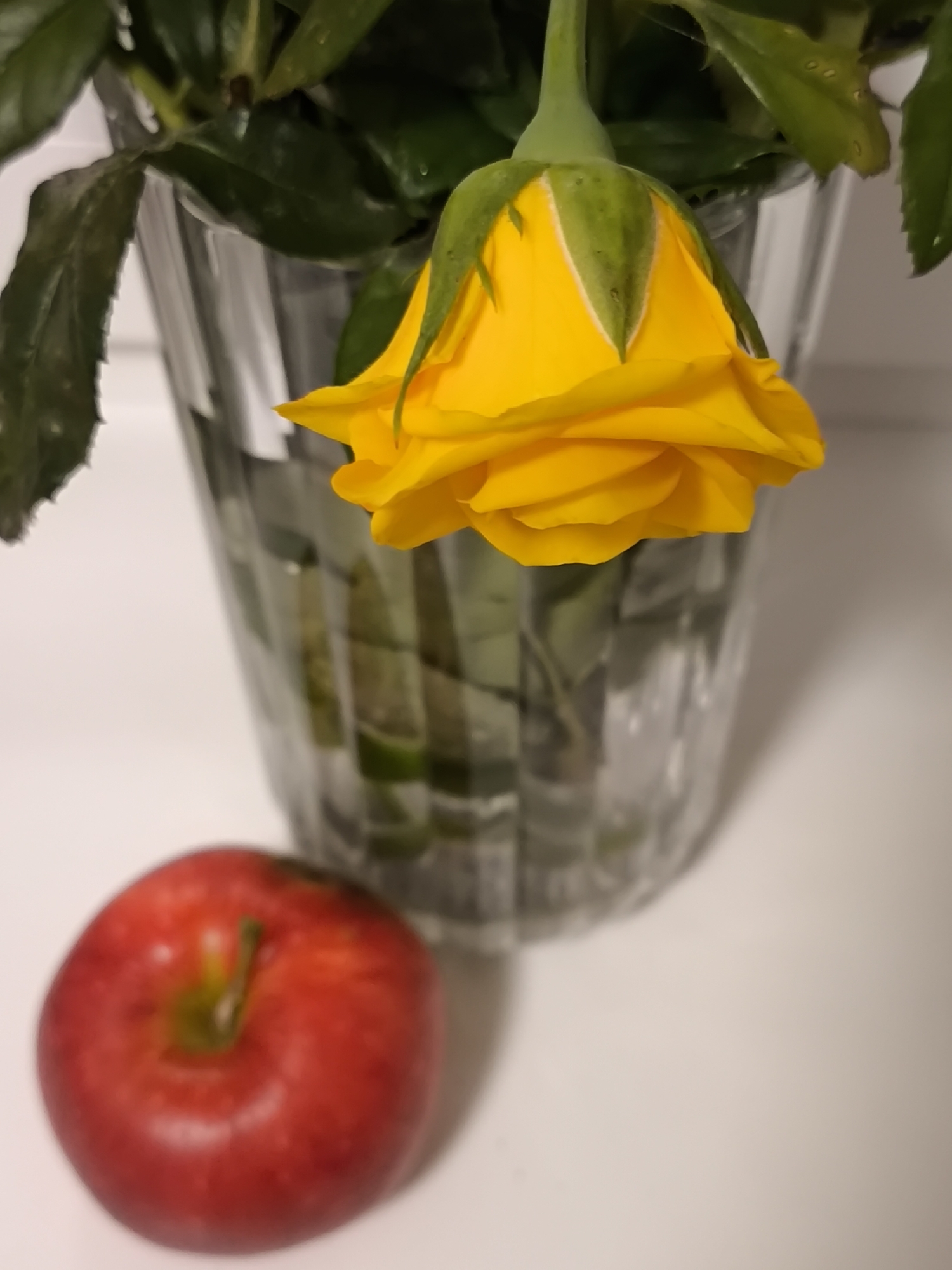 An arrangement of a yellow rose and a red apple sits on a white surface, likely a table. The rose is upside down, with its petals unfurling, and it is placed in a clear, fluted glass vase. Green leaves from the rose arrangement are visible behind the bloom and in the vase. To the left of the vase, a single red apple with a green stem is positioned in the foreground. The lighting is soft, creating a gentle shadow to the right of the apple and vase. The background is out of focus, with vertical lines suggesting a wall or shelf. The scene is clean and orderly.