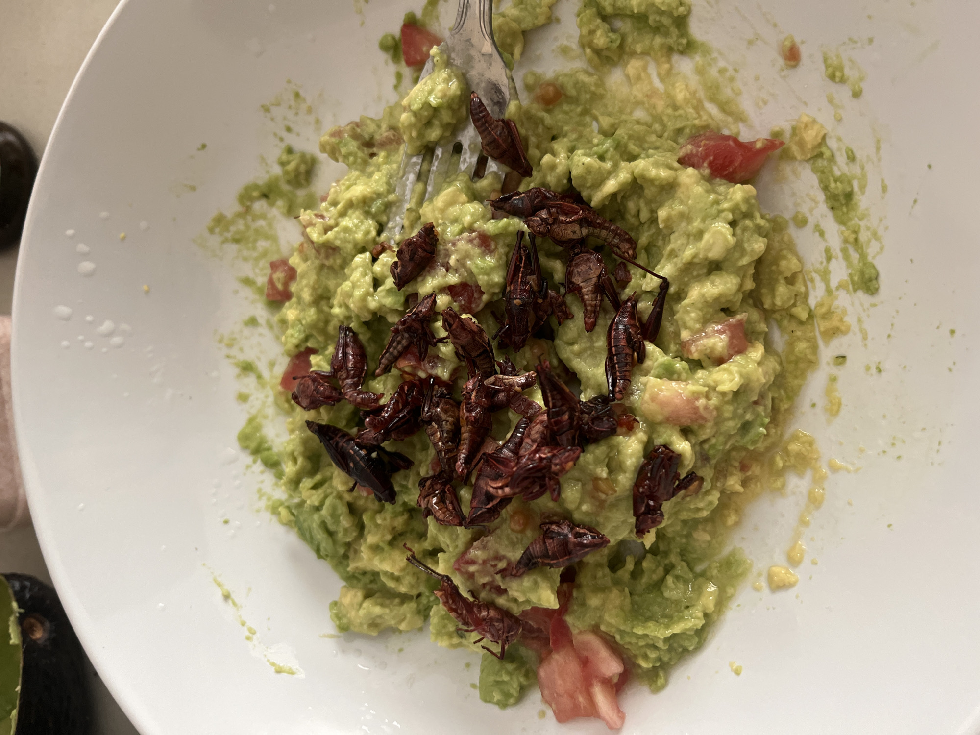 A top-down shot depicts a white bowl containing guacamole mixed with tomatoes and topped with chapulines (grasshoppers). A fork is partially submerged in the guacamole. The bowl is sitting on a white surface. In the background, on the left side of the bowl, an avocado can be seen. The setting is consistent with a meal prepared or served in a home or restaurant, possibly in the city of Brisas de Zicatela, Mexico, given the presence of chapulines, a regional culinary ingredient. No people are visible in the image.