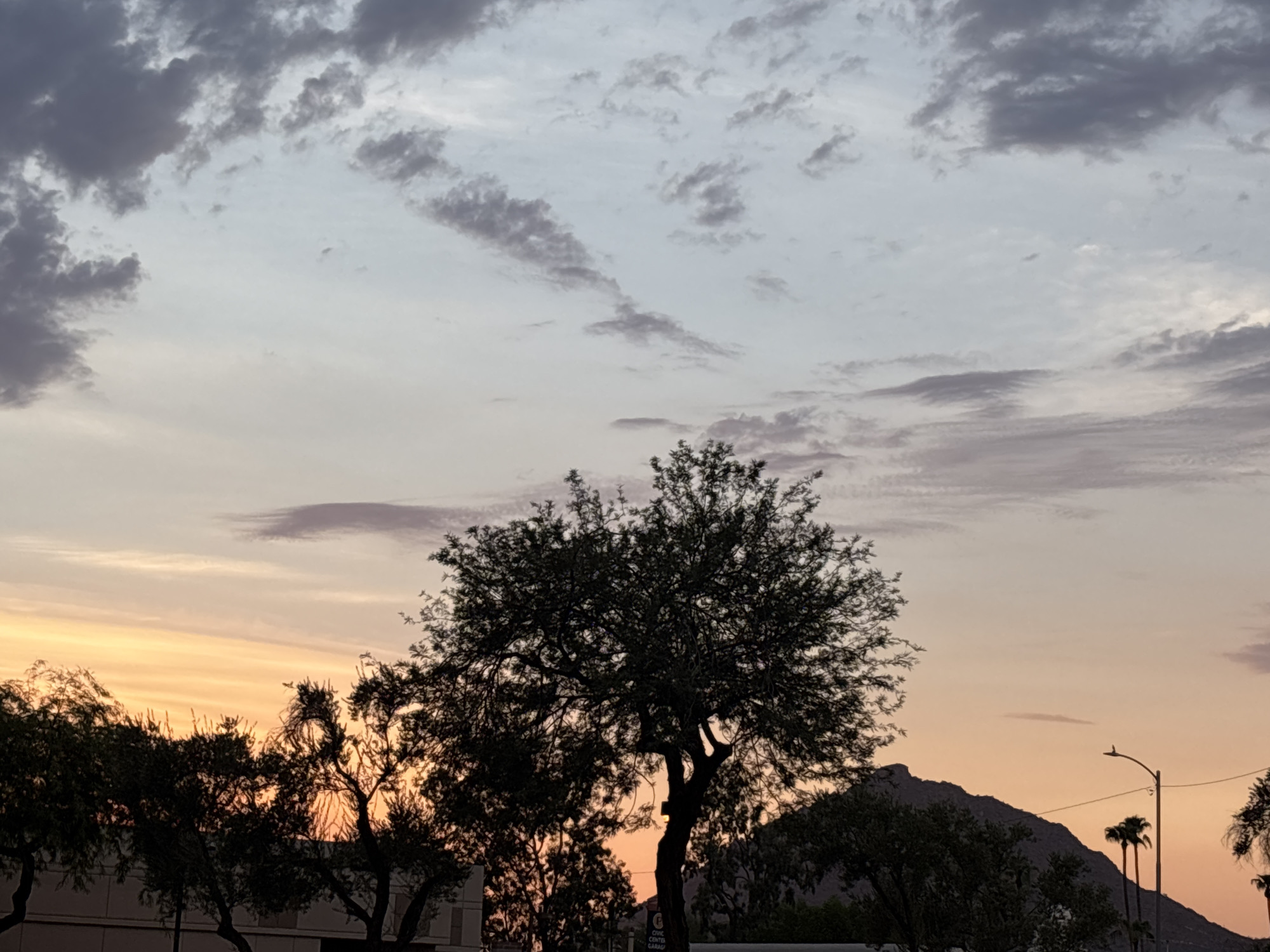 The image captures a serene sunset scene in Scottsdale, Arizona, United States of America. The sky is a canvas of pastel hues, transitioning from a warm orange glow near the horizon to soft lavender and grey at the top. Wispy clouds are scattered across the sky, some dark and brooding, others light and ethereal. In the foreground, silhouetted trees with intricate branches stand against the colorful sky. A large, mature tree with a full canopy dominates the center of the frame, its dark silhouette stark against the vibrant sunset. To the left, the upper floors of a building are visible, their facades a pale color. In the distance, the silhouette of a mountain range rises against the horizon. A streetlamp with a single light fixture and a few palm trees are also visible, hinting at an urban or suburban setting. The overall impression is one of tranquility and natural beauty at the close of day.