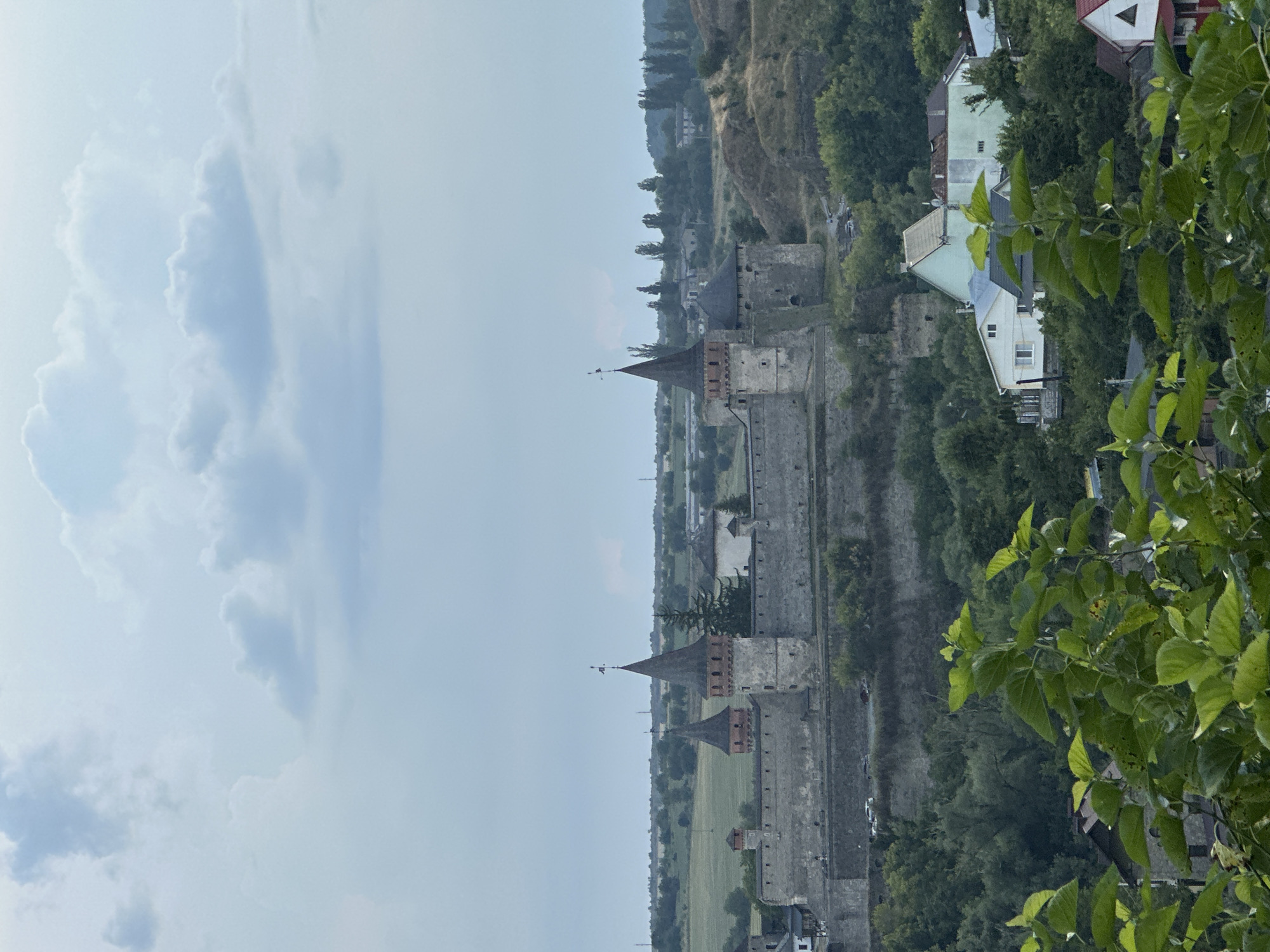 The image shows a panoramic view of the Kamianets-Podilskyi Castle in Kamianets-Podilskyi, Ukraine. The castle, a large medieval fortress, is prominently featured in the mid-ground, its stone walls and conical towers dominating the scene. The castle is situated on a rocky promontory, with a deep canyon visible on one side. Lush green trees and vegetation surround the castle, and in the foreground, the leaves of a plant partially obscure the view. Beyond the castle, the landscape transitions into rolling hills and fields, with a few scattered buildings and structures visible in the distance. The sky above is overcast with dramatic clouds. There are no people visible in the image. The overall impression is one of historical grandeur set against a natural landscape.