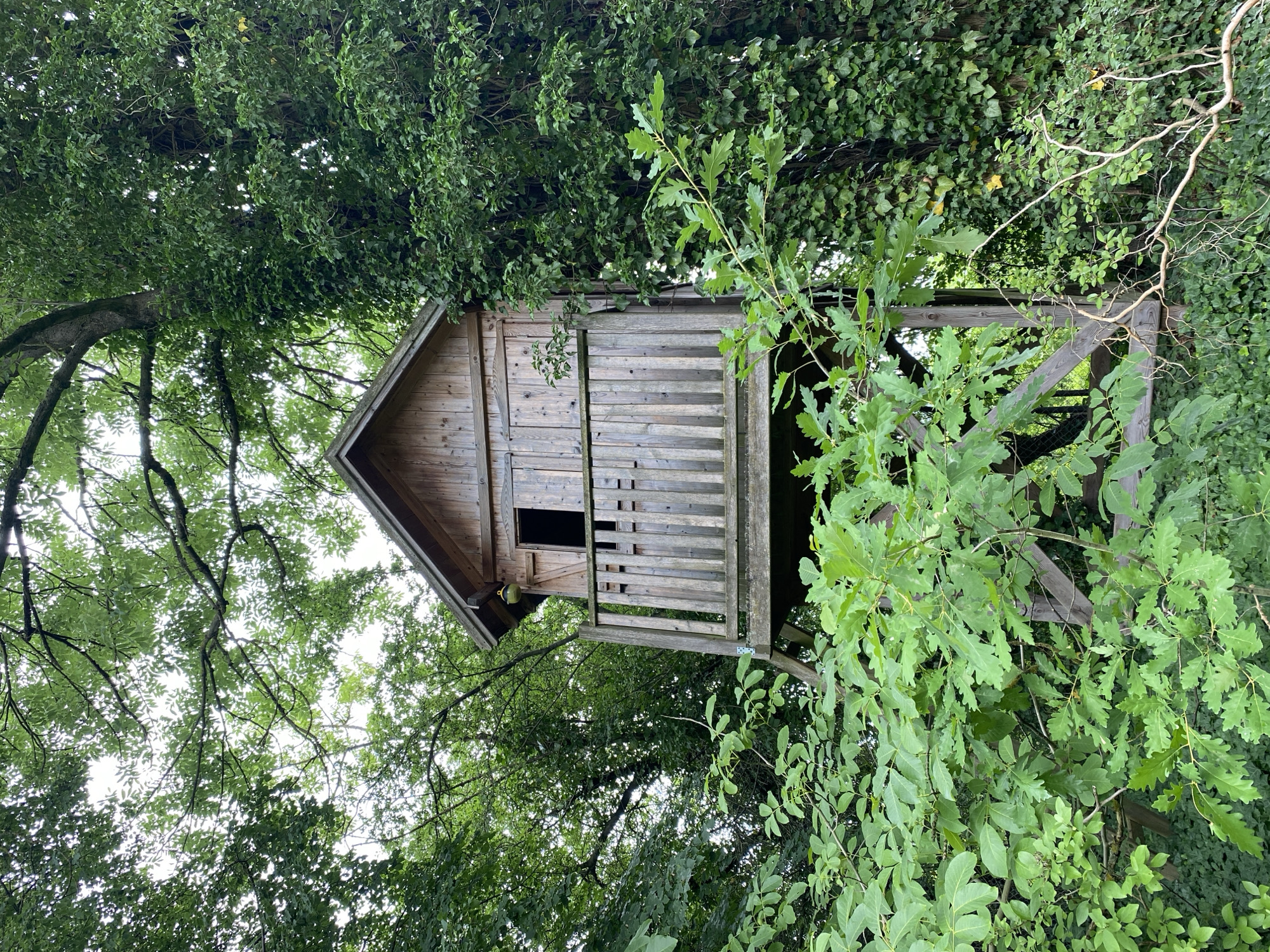 A wooden treehouse is nestled amongst lush green trees in Albertowsko, Poland. The treehouse is constructed from weathered wooden planks and has a peaked roof. A small opening serves as a window, and a railing is visible on the side. The structure is supported by sturdy wooden beams, giving it a rustic and sturdy appearance. The surrounding foliage is dense and vibrant, with various shades of green from leaves and vines. The sunlight filters through the leaves, creating dappled light and shadows on the treehouse and its surroundings. The image suggests a peaceful and secluded setting, possibly a backyard or a wooded area. The time of day appears to be daytime, with bright, overcast sky visible through the leaves. No people or specific activities are depicted in the image. The overall mood is serene and natural, highlighting the integration of the man-made structure with its natural environment.