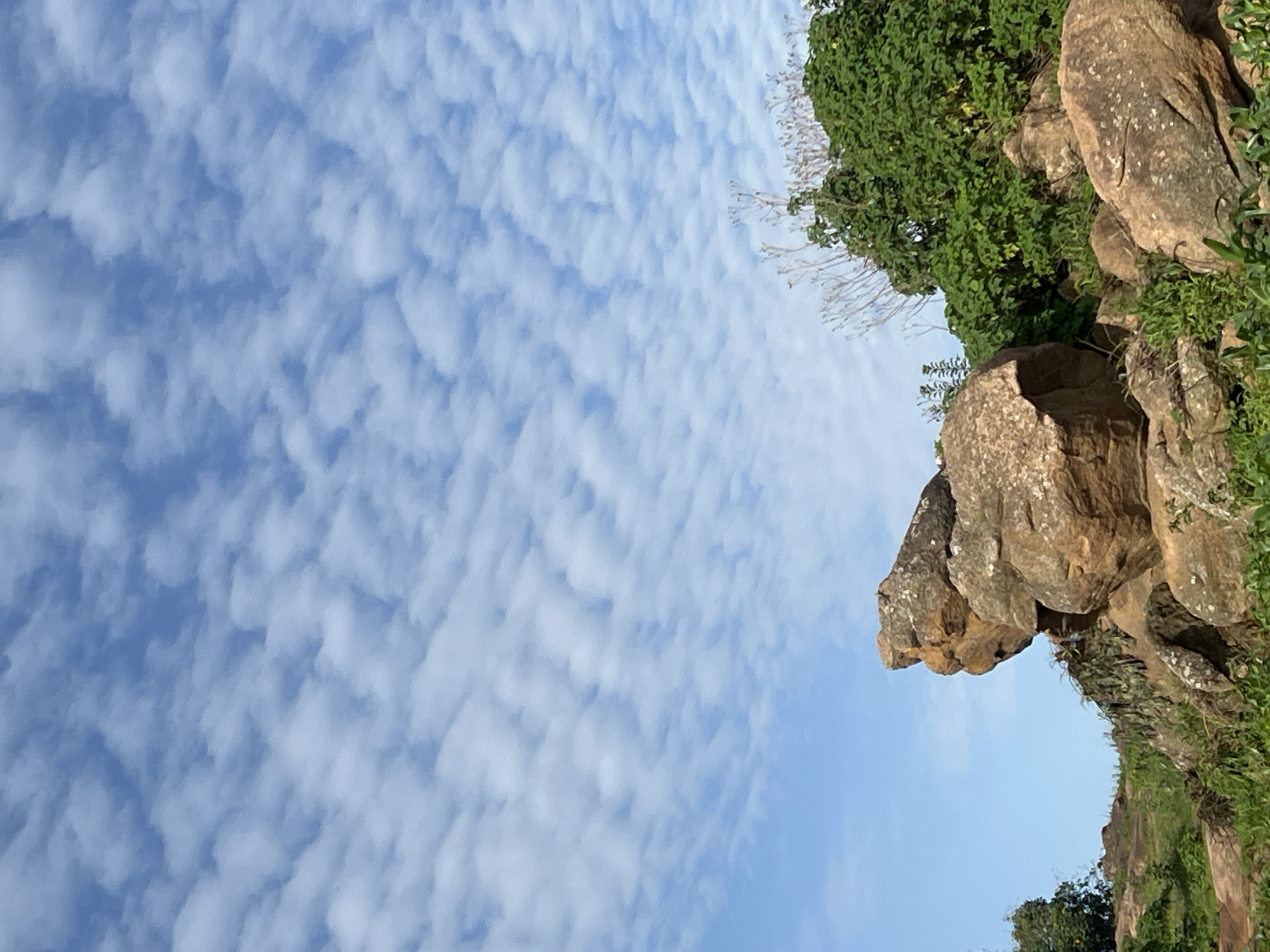 The image depicts a rugged, rocky landscape under a bright blue sky filled with scattered, fluffy white clouds. In the foreground, large, weathered boulders dominate the scene, with smaller rocks and green vegetation growing around them. A prominent rock formation on the left side of the image appears to have a face-like contour. Behind the rocks, lush green bushes and trees are visible, suggesting a natural or semi-natural environment. The scene is likely a natural outcrop or park area within the city of Jos, Nigeria, known for its rocky terrain and hills. There are no people or animals visible in the image, and no actions or interactions are taking place. The environment is outdoors, and the lighting suggests it is daytime, possibly morning or afternoon.