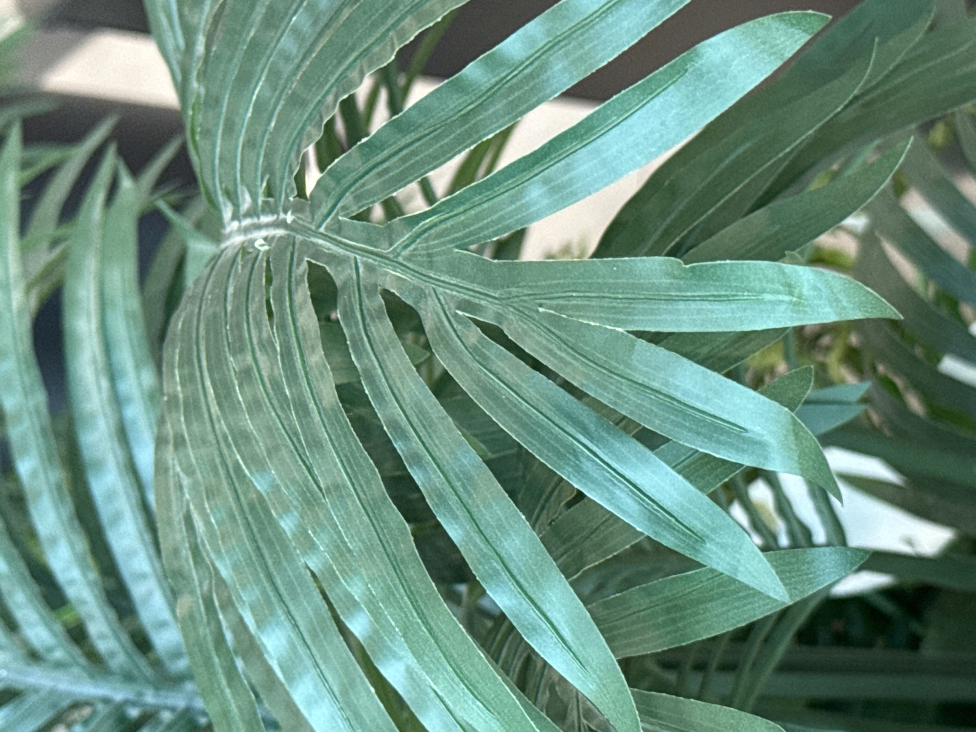A close-up shot focuses on the intricate details of several overlapping green palm fronds. The fronds exhibit a matte texture with visible veins and a slightly faded appearance, suggesting they may be artificial. The lighting creates subtle shadows and highlights, emphasizing the layered structure of the leaves. The background is out of focus, with hints of darker greenery and lighter, indistinct shapes that could be furniture or other indoor elements. There are no people or animals present in the image. The setting appears to be indoors, possibly a home or office, and there is no indication of its location within the city of Ob, Russia.