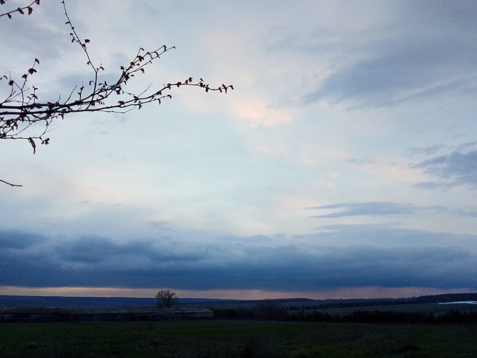 The image presents a vast, subdued rural landscape under a dramatic sky, likely at dawn or dusk. In the upper left foreground, the silhouetted branch of a deciduous tree, adorned with small, dark buds, extends into the frame, suggesting early spring or late autumn.
The sky occupies the majority of the image, dominated by an extensive cloud cover. The upper section features lighter blue and soft, wispy clouds, while a thick, heavy band of dark, grey-blue clouds stretches across the middle and towards the horizon, hinting at overcast or stormy weather. A subtle patch of pinkish light emerges from behind these clouds in the upper center, possibly indicating the sun's position just below the horizon.
Below the cloud bank, the distant landscape unfolds with rolling hills or fields. A lone, bare tree stands prominently on the distant horizon to the right. To the left, a low-lying, dark structure, possibly a derelict building, is visible in the midground. The immediate foreground consists of a dark, indistinct grassy field. There is no visible activity or text. The scene evokes a quiet, expansive, and somewhat solemn mood, characteristic of a twilight hour in a remote location like Khlevnoye, Russia.