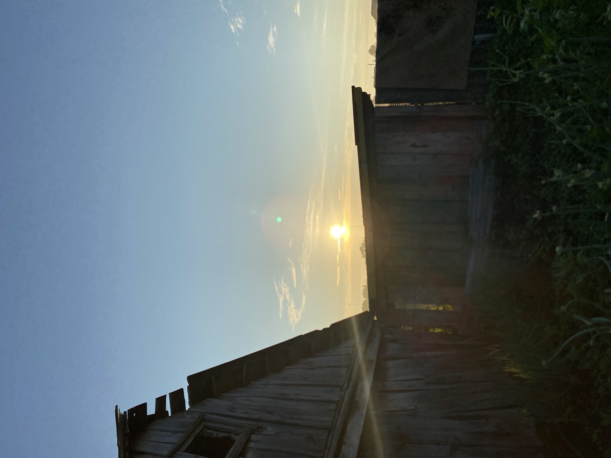 In Chirsha-Tartysh, Russia, a photograph captures an early morning or late evening scene of a rustic, weathered wooden structure against a pale blue sky with a softly glowing sun near the horizon. The building, made of vertical wooden planks, appears aged, with a partially collapsed roofline on the left side of the frame. A dark, open doorway or shed-like structure is visible in the mid-ground, also constructed of wood. The foreground is filled with dark, shadowed vegetation, possibly grass and plants. The overall impression is one of rural simplicity and the gentle light of dawn or dusk.