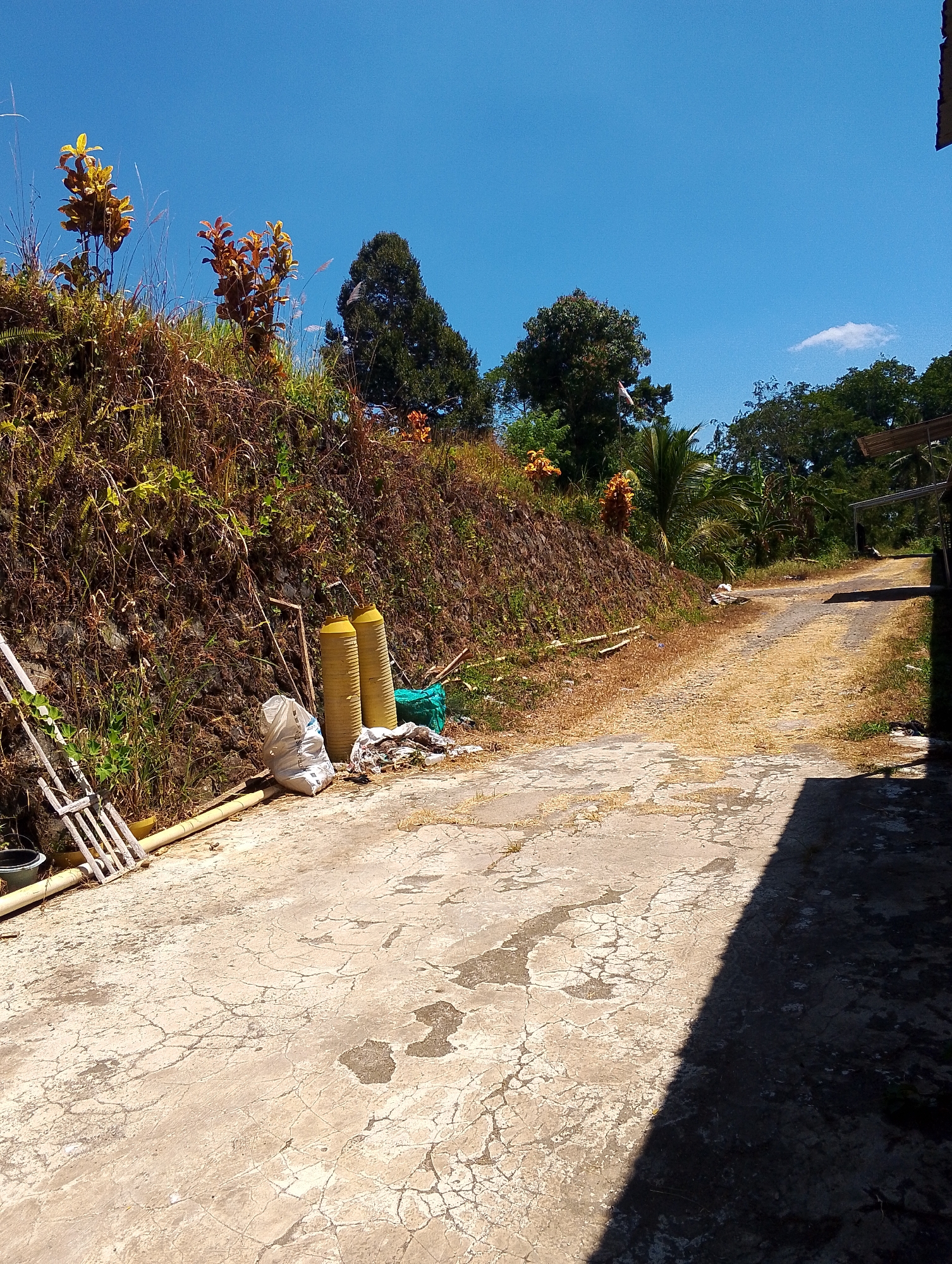 The image depicts a dusty, unpaved road winding uphill, bordered by a steep, vegetated embankment on the left and a shaded area on the right. The embankment is covered in dry grass, weeds, and a few leafy plants with reddish-yellow foliage. Several objects are piled at the base of the embankment: a white sack, two tall yellow cylinders, a green tarp, and some miscellaneous debris. A white rake-like tool and a section of pipe lie near the sack. The road surface is a mixture of concrete patches and dirt, with dry grass growing through the cracks. In the background, a cluster of trees forms a dense green canopy against a clear blue sky. The overall scene suggests a rural or semi-rural environment, possibly on the outskirts of Tomohon, Indonesia, given the vegetation and typical road conditions in such areas. The lighting indicates a sunny day, with strong shadows cast by the structures on the right. There are no people visible in the frame.