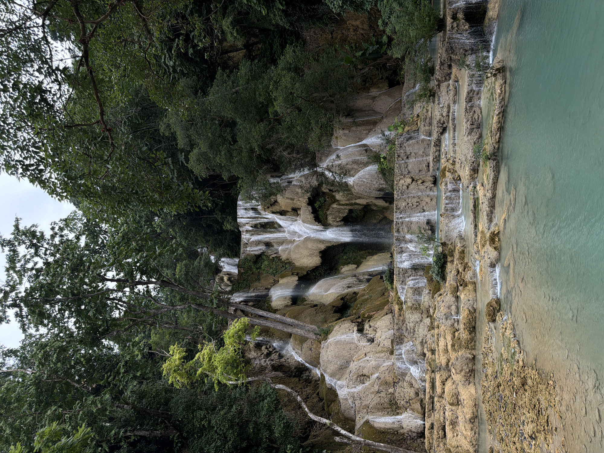 The image depicts a multi-tiered waterfall cascading over limestone rock formations. The water is a striking turquoise color, pooling in shallow basins at different levels before continuing its descent. Lush green foliage surrounds the waterfall, with trees and smaller plants growing both on the rocks and along the edges of the water. The sky appears overcast, contributing to the soft, diffused light. The scene is a natural landscape, devoid of any human presence or artificial structures. This appears to be Kuang Si Falls, a popular tourist destination located approximately 29 kilometers south of Luang Prabang, Laos.