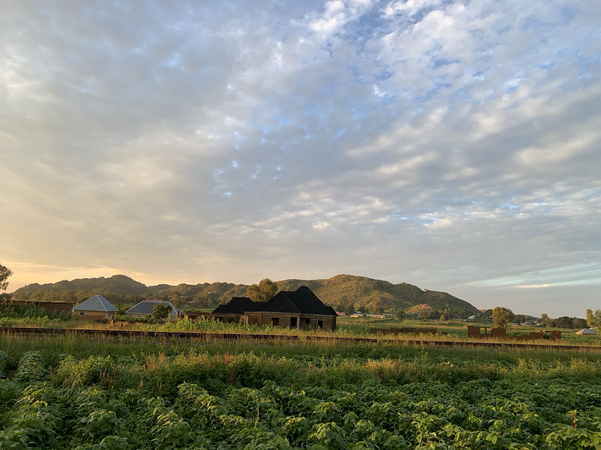 An outdoor, full shot captures a rural landscape in Kuru Karama, Nigeria at dusk. In the foreground, lush green foliage fills the lower portion of the frame, with a set of railroad tracks running horizontally across the mid-ground. Beyond the tracks, several unfinished brick structures with dark roofs are visible, along with some completed houses featuring light-colored roofs. A gentle, sloping hill dominates the background, bathed in the warm, golden light of the setting sun. The sky above is a canvas of soft blues and grays, with scattered white clouds. The scene is peaceful and serene, suggesting a quiet evening in the Nigerian countryside.