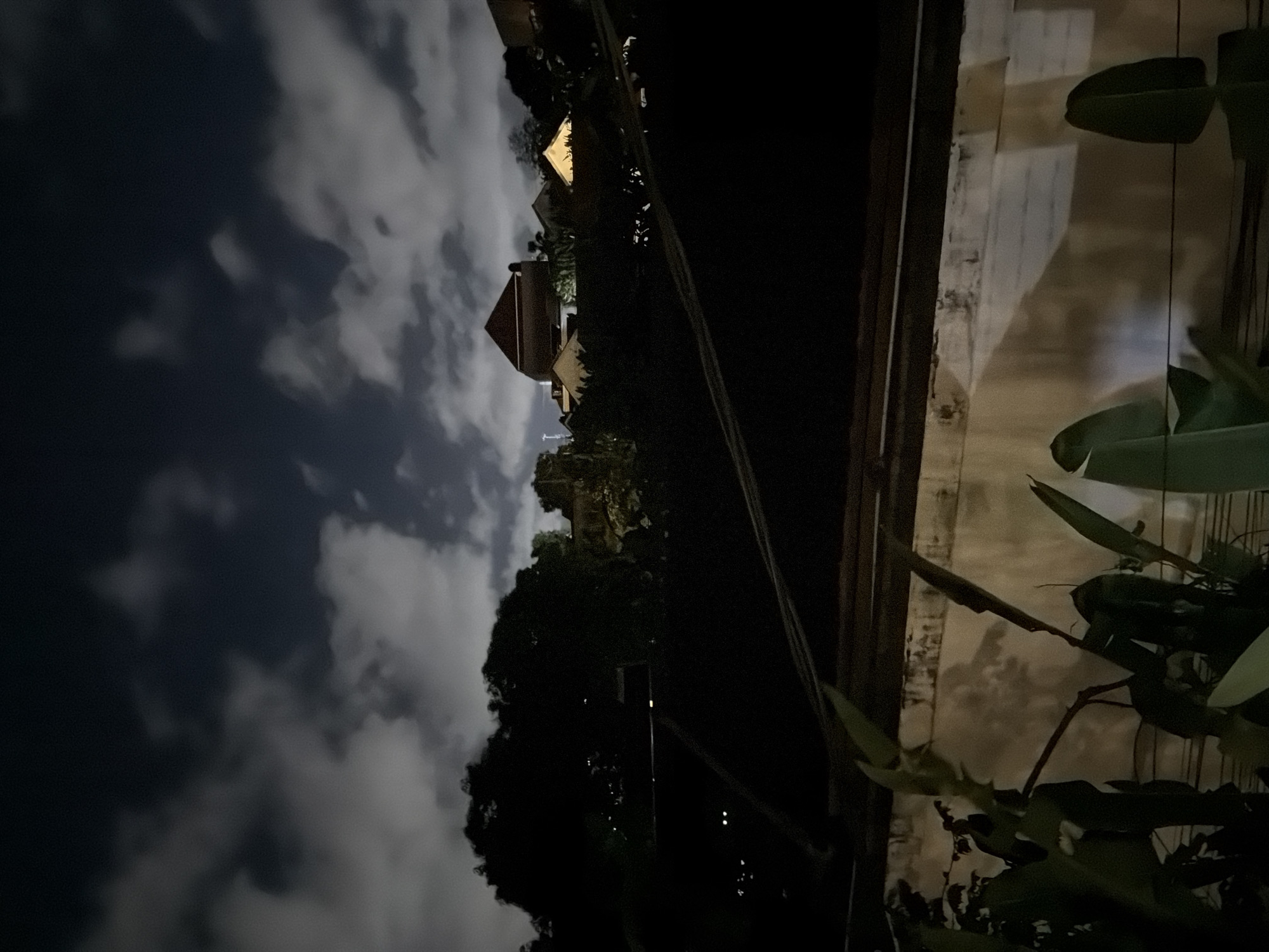 Here's a description of the image:
The image depicts a nighttime scene in North Kuta, Indonesia. The sky is visible on the left side, with scattered clouds. There are buildings with lit-up roofs visible in the distance. The foreground on the right is dominated by vegetation, including broad-leafed plants, against a wall.
