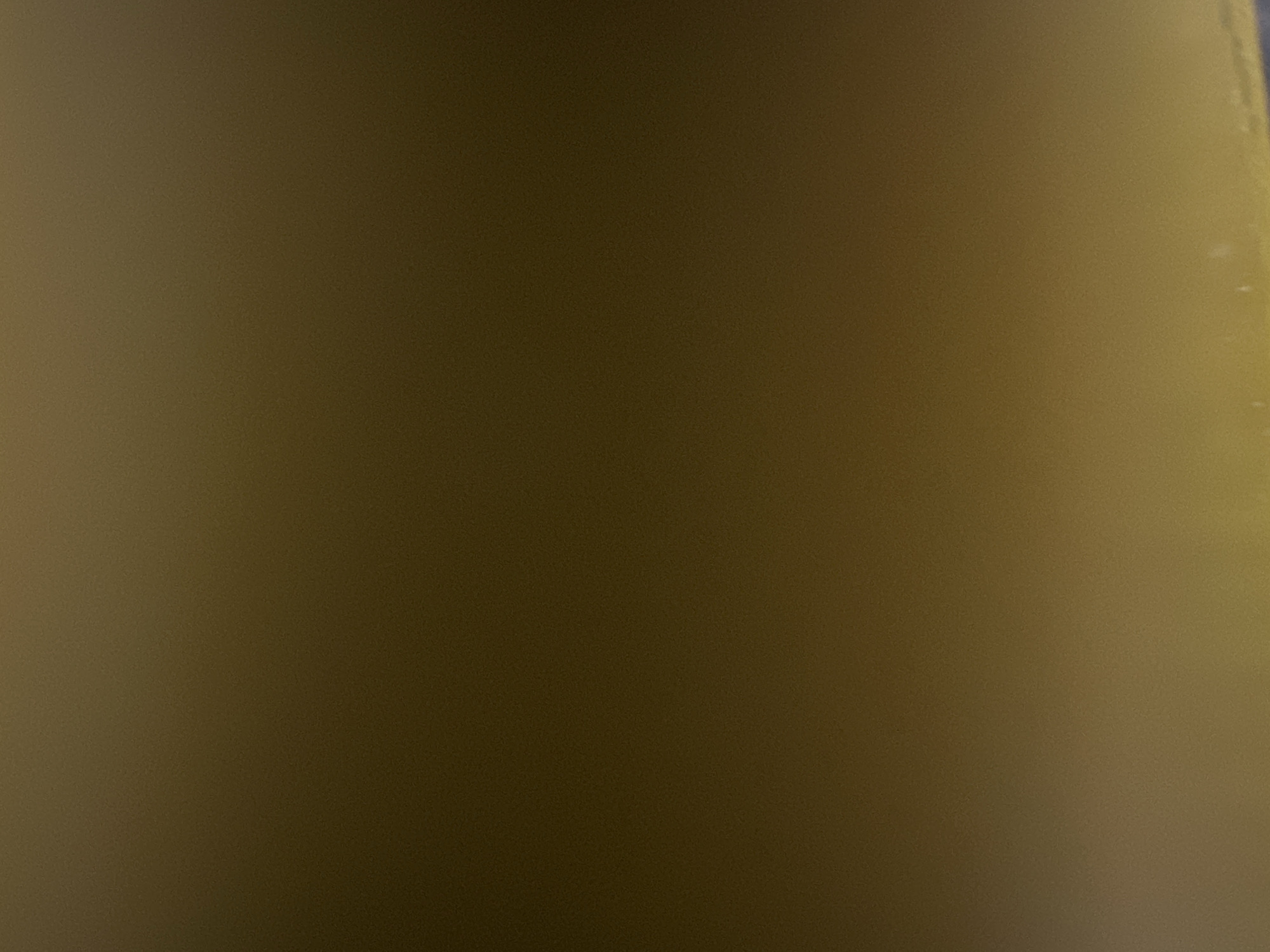 The image is a close-up, abstract shot of a textured, dark golden surface. The texture appears to be granular, with tiny speckles visible across the frame, suggesting a matte finish. There is a subtle gradient of light, with the left side of the image appearing darker and the right side slightly brighter, hinting at a light source from the right. Some faint, lighter specks are also visible on the right side, which could be dust or imperfections on the surface.
There are no discernible subjects such as people, objects, or a specific scene. The image does not depict any activity or event taking place. There are no visible text elements. The abstract nature of the image, combined with the lack of specific cues, makes it difficult to determine the time of day, weather, or location. The overall impression is one of understated texture and subtle lighting.