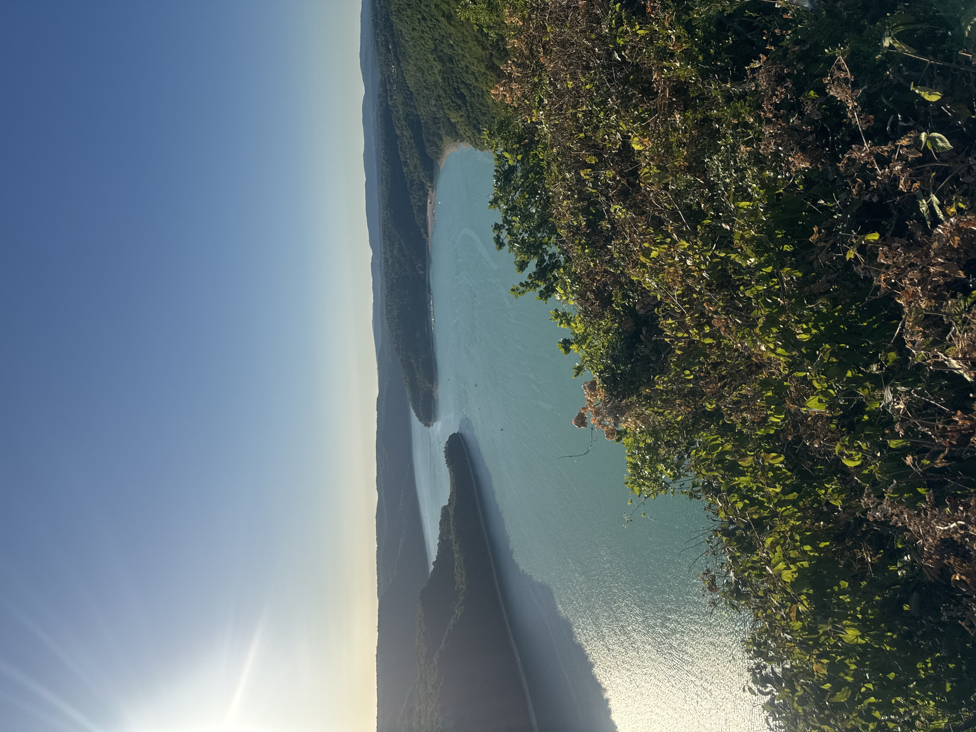 The image displays a panoramic view of a large, turquoise body of water, likely a lake or reservoir, surrounded by verdant, tree-covered hills. The sun is prominently visible in the upper left corner, casting bright rays and creating a shimmering effect on the water's surface. The water curves into the distance, with several small boats scattered across its expanse. The foreground is dominated by lush green foliage and some dried, brown vegetation, suggesting a natural, undeveloped landscape. The sky is a clear, bright blue, indicative of a sunny day. The scene appears to be a scenic overlook, offering a wide vista of the natural surroundings. The location is identified as being in the vicinity of Moirans-en-Montagne, France, a region known for its lakes and forests.