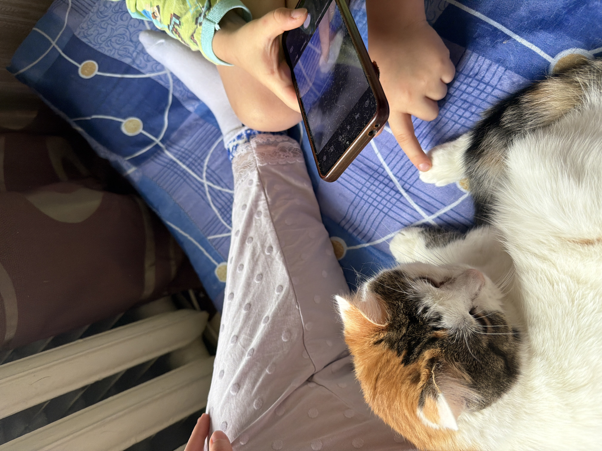 In a domestic indoor setting, possibly a bedroom in Kolychyovo, Russia, a calico cat with white, orange, and black markings lies on a blue patterned bedspread. The cat is positioned in the foreground, with its head resting on its white fur. To the right of the cat, a child's hands are visible; one hand holds a smartphone, and the other is reaching out, with a finger touching the cat's paw. The child is wearing a green and blue patterned shirt and white socks. The background shows a radiator and part of a brown cushion. The scene depicts an interaction between a child and a pet, with the child using a smartphone.