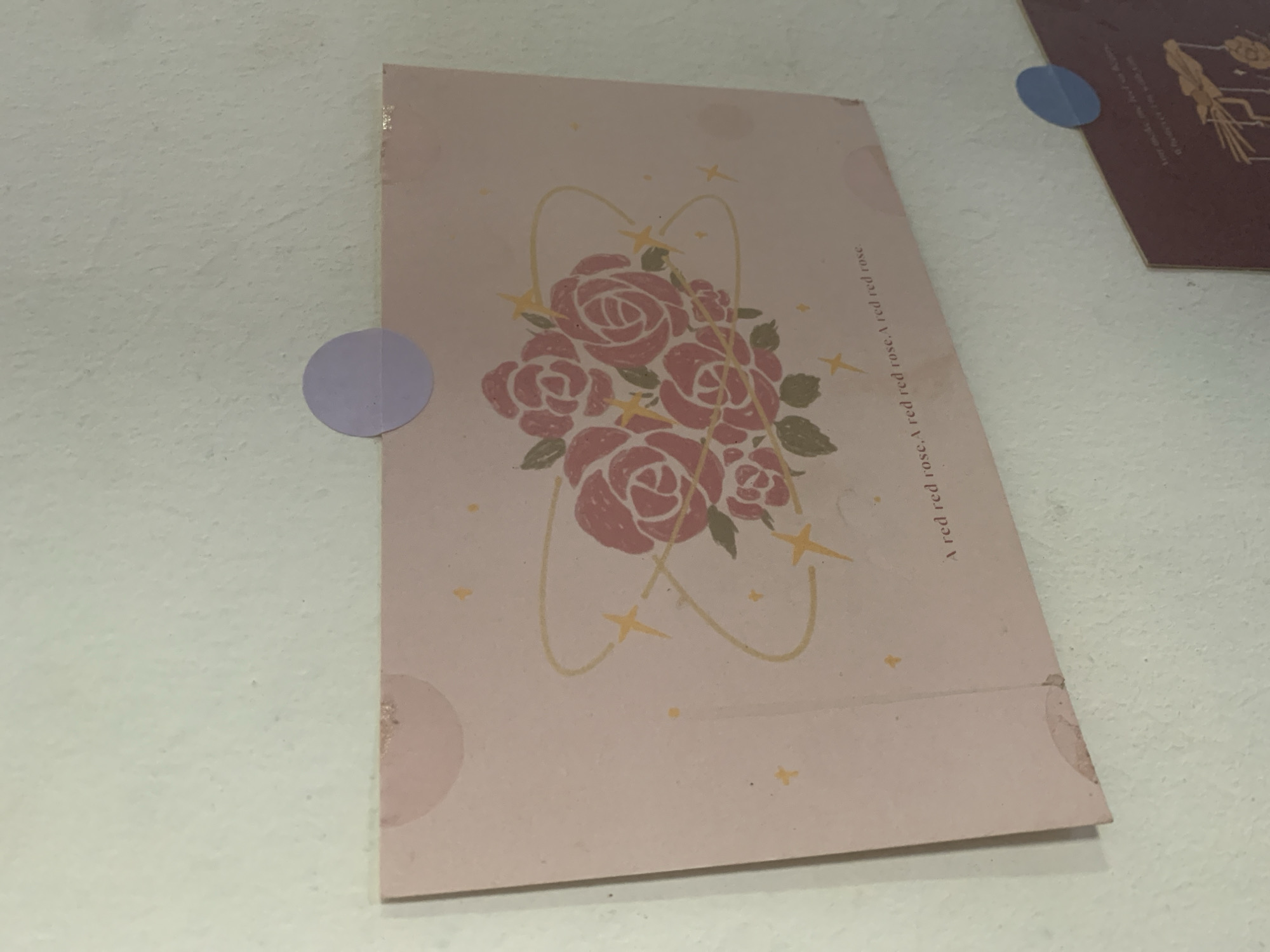 A pink postcard featuring a drawing of red roses with yellow stars and orbital lines is affixed to a textured, off-white wall using a light purple circular sticker. The postcard appears to have some minor damage along its edges, including small brown stains. Below the roses, the text "A red red rose,A red red rose,A red red rose" is printed. Another postcard, with a dark red-brown hue and gold lettering, is partially visible below and to the right of the first postcard, also attached to the wall with a blue circular sticker. The lighting suggests this scene is indoors, with the wall texture indicative of common building materials. There are no people or animals present. The location is not specified as Kuala Pembuang, Indonesia.
