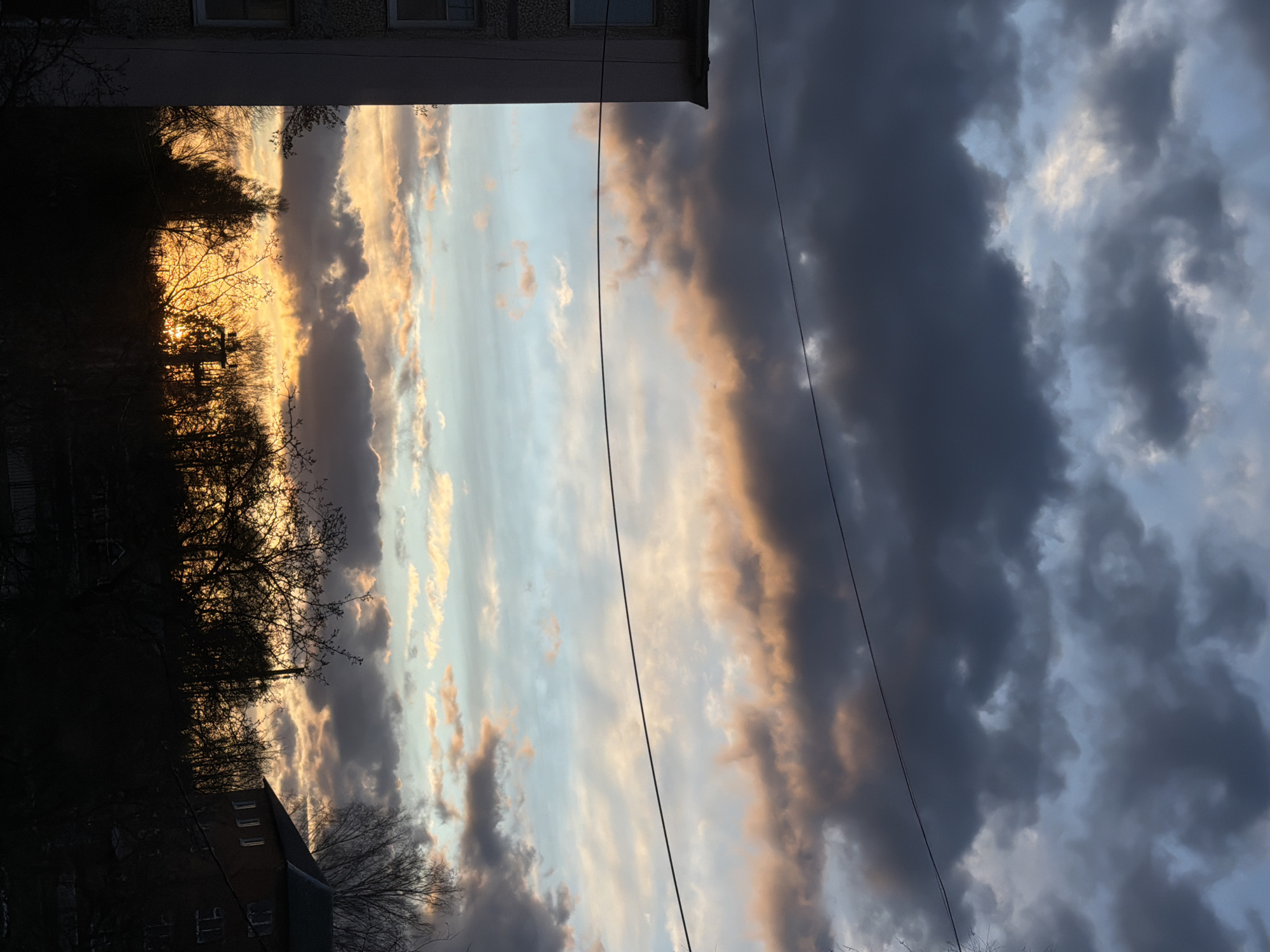 The image depicts a cloudy sky at dusk in what appears to be a residential area. Silhouetted buildings flank the top and bottom of the frame. Bare trees obscure the setting sun, creating a golden glow. Power lines traverse the sky. Given the provided location, this is likely Reshetnikovo, Russia. There are no discernible people or overt actions captured in the image. The interaction is between the natural and built environments, showcasing a moment in time.