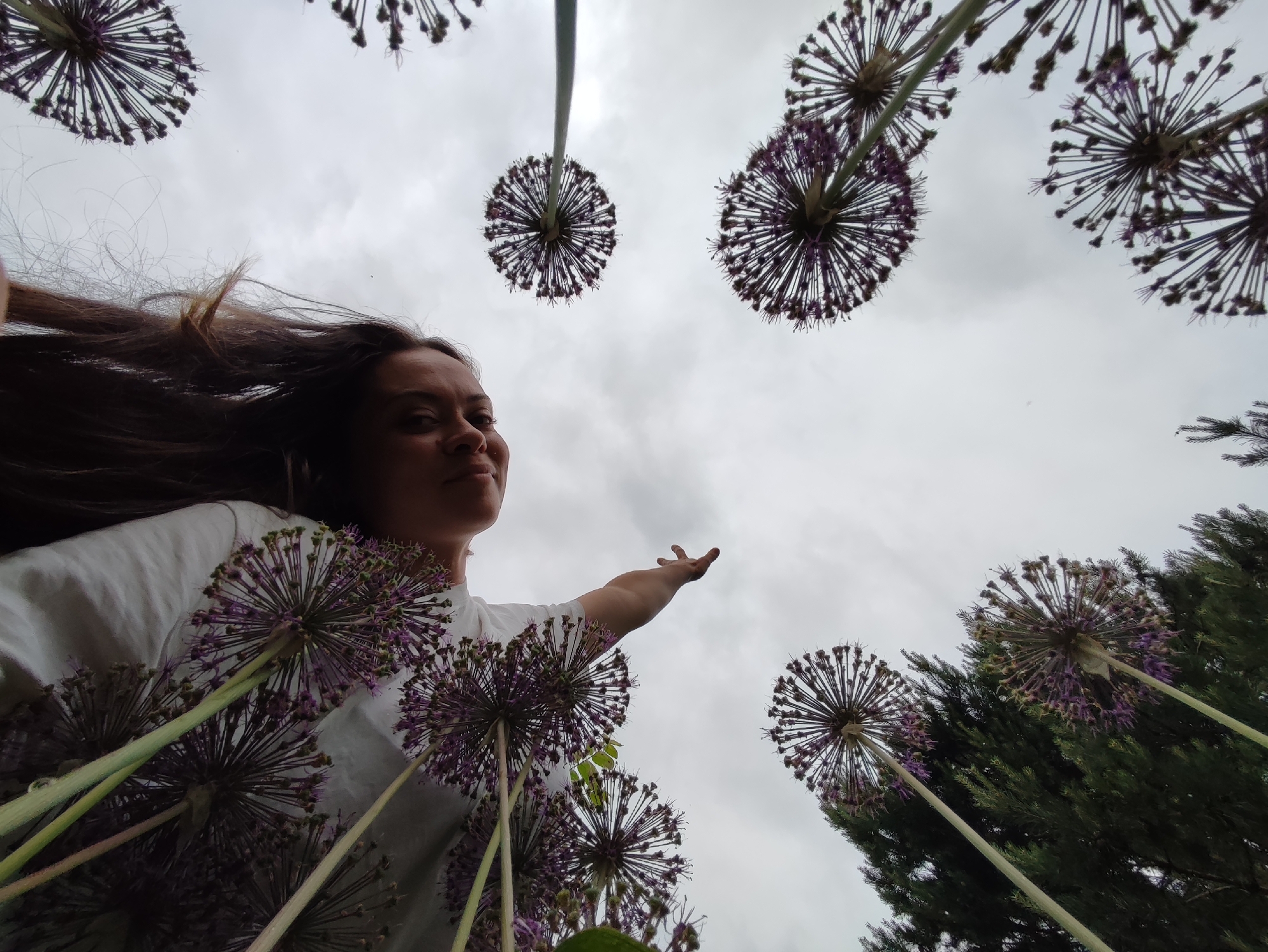 An outdoor, low-angle photograph captures a person and numerous large, spherical purple Allium flowers against an overcast sky. The upward perspective frames the scene, making the flowers appear towering. A person, likely female, with long, dark hair, is positioned on the left, wearing a white top. She extends her right arm and open hand towards the right, with a gentle smile on her face as she gazes slightly upwards.
Several purple Allium (ornamental onion) flowers, characterized by their dense, spherical heads on tall stems, are prominent. Some are directly above the person, others scattered across the sky. Green foliage, resembling a hedge or tree, is visible on the lower and far right, providing a natural backdrop. The sky is cloudy and grey, indicating an overcast daytime. No text is visible. The scene is set in what is understood to be Фоки, Russia, suggesting a garden or natural environment.