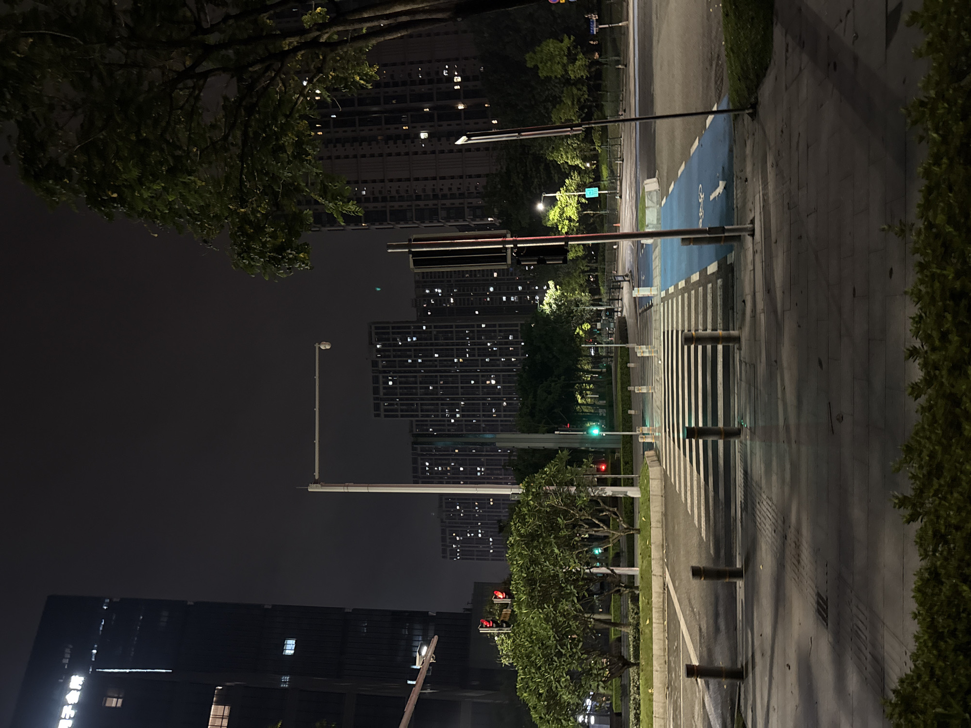This is a night-time scene in Haizhu District, China, featuring an intersection with a pedestrian crosswalk and a designated bike lane. A tall, dark building with illuminated windows dominates the left side of the frame, while several other multi-story residential or office buildings with many lit windows are visible in the background. Trees line the street, some with dense foliage, and a large tree with dark branches and green leaves is prominent on the right. Traffic lights are visible, showing red and green signals. The crosswalk is marked with white stripes, and a blue bike lane with white markings, including an arrow, runs alongside it. Bollards are placed along the edge of the sidewalk. The street and sidewalk are paved. The sky is dark and overcast. There are no people or vehicles visible in the scene.