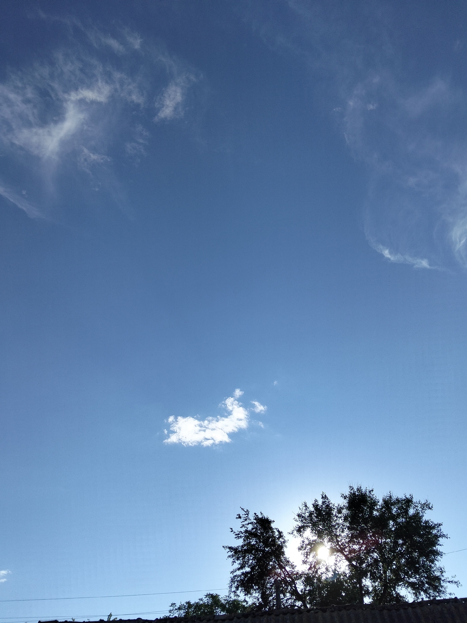 The image shows a bright blue sky with sparse white clouds. Silhouetted against the sky are the tops of trees and what appears to be a corrugated roofline. The sun is visible, peeking through the leaves of a large tree on the right, casting a lens flare and dappling light. There are no people or specific identifiable landmarks present in the image that would definitively place it in Ustyvytsia, Ukraine. The scene depicts a daytime outdoor environment with natural elements and man-made structures.